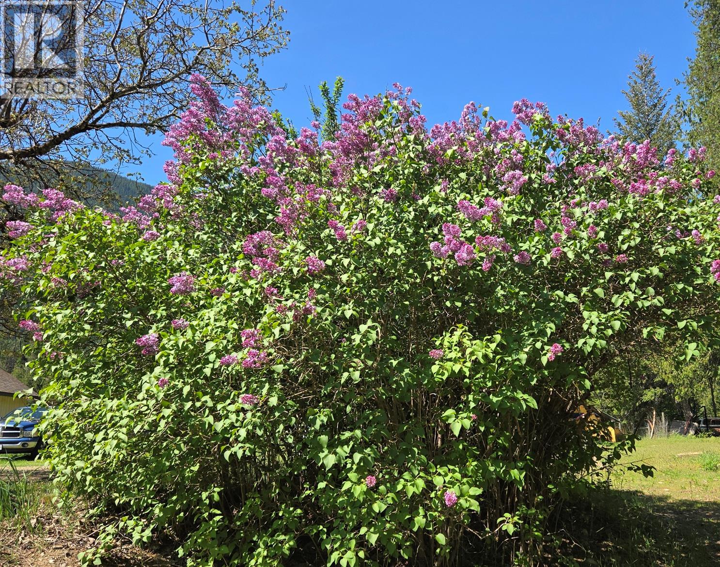 3918 Passmore Upper Road, Passmore, British Columbia  V0G 2J0 - Photo 88 - 10388802