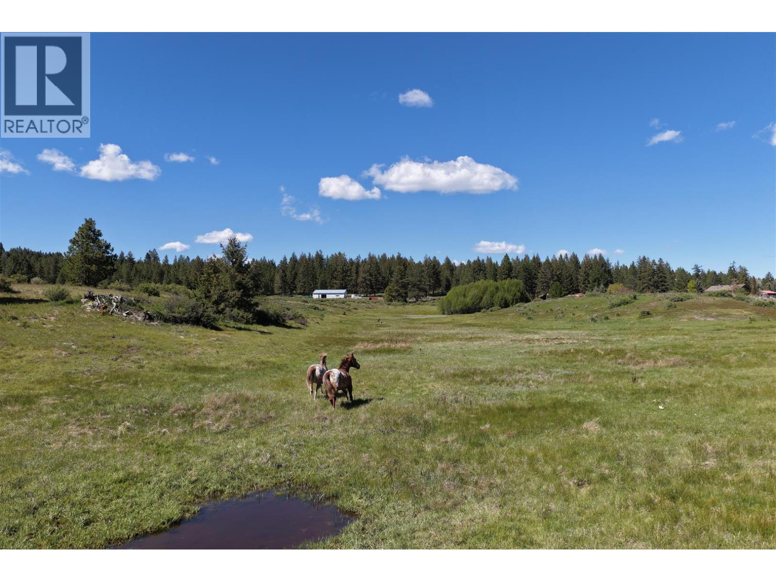 6760 Highway 3, Bridesville, British Columbia  V0H 1B0 - Photo 3 - 10389004