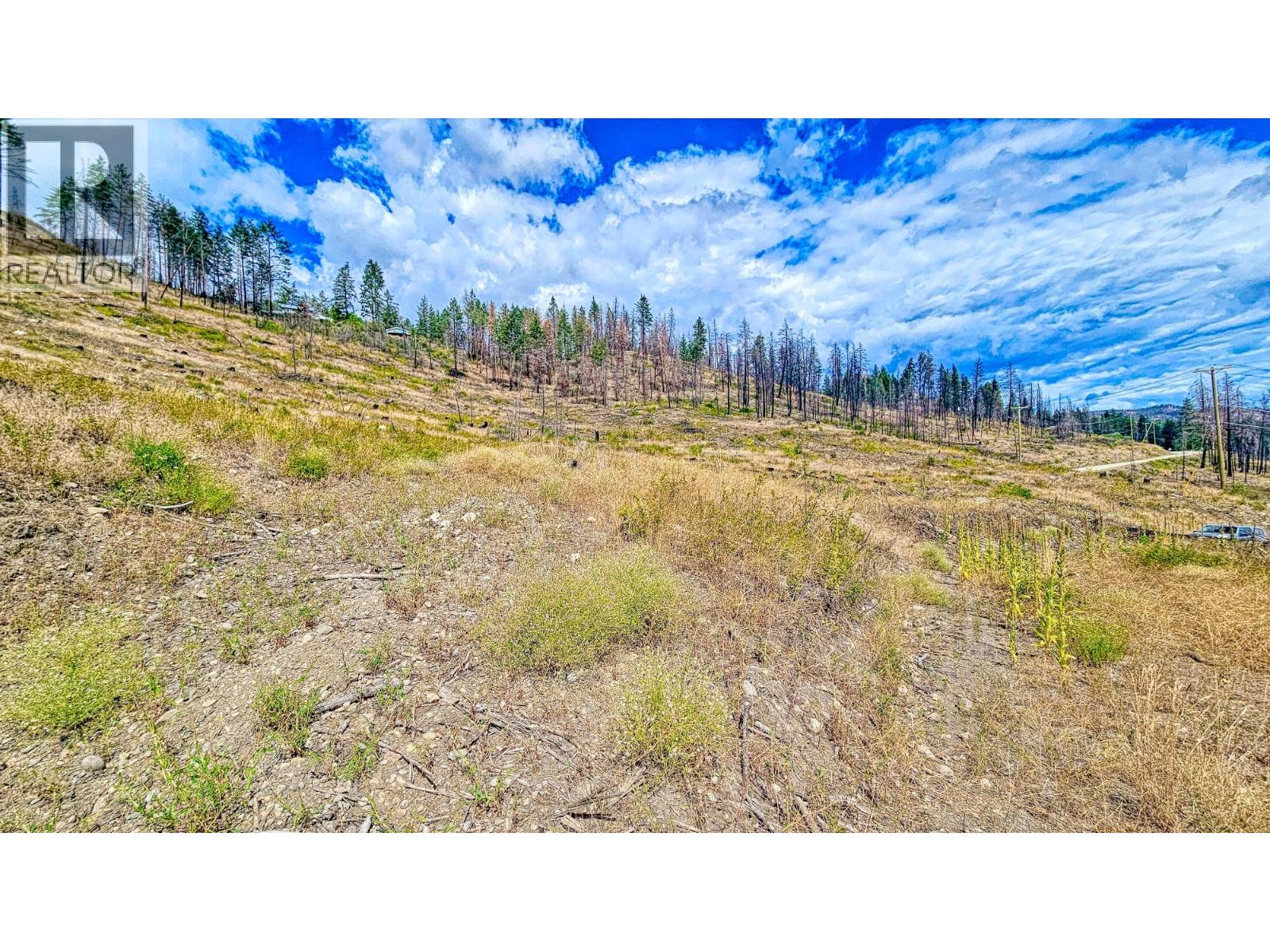 9200 Westside Road Lot# 2, Vernon, British Columbia  V1H 2E9 - Photo 13 - 10388991