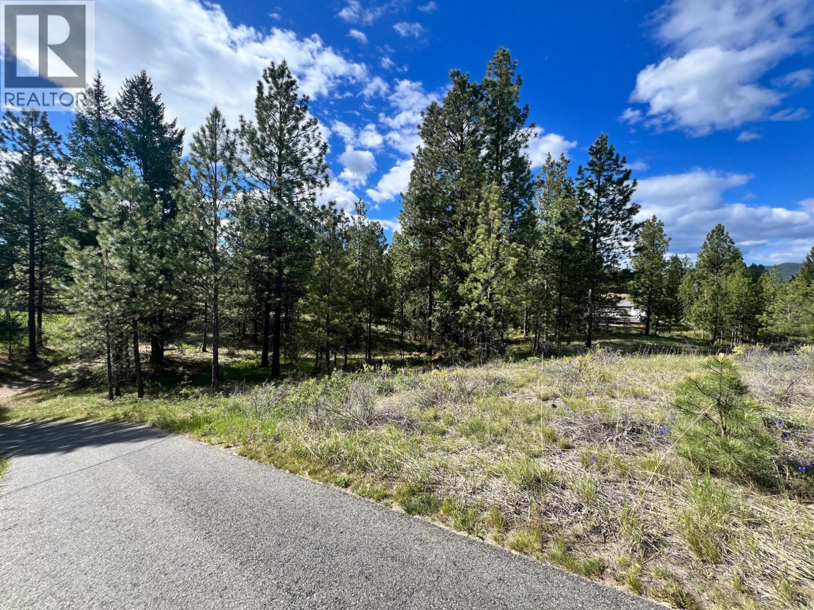 305 Corral Place, Cranbrook, British Columbia  V1C 0C2 - Photo 6 - 10389021