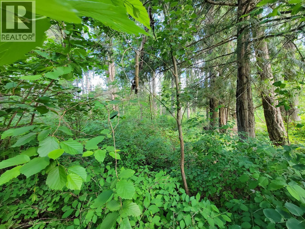Lot 1 Passmore Old Road, Passmore, British Columbia  V0G 2J0 - Photo 14 - 10388533