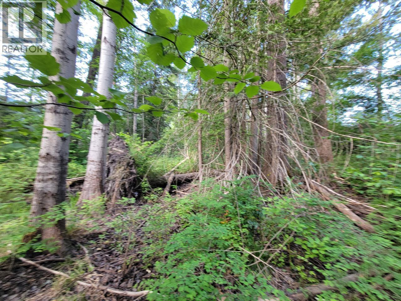 Lot 1 Passmore Old Road, Passmore, British Columbia  V0G 2J0 - Photo 19 - 10388533