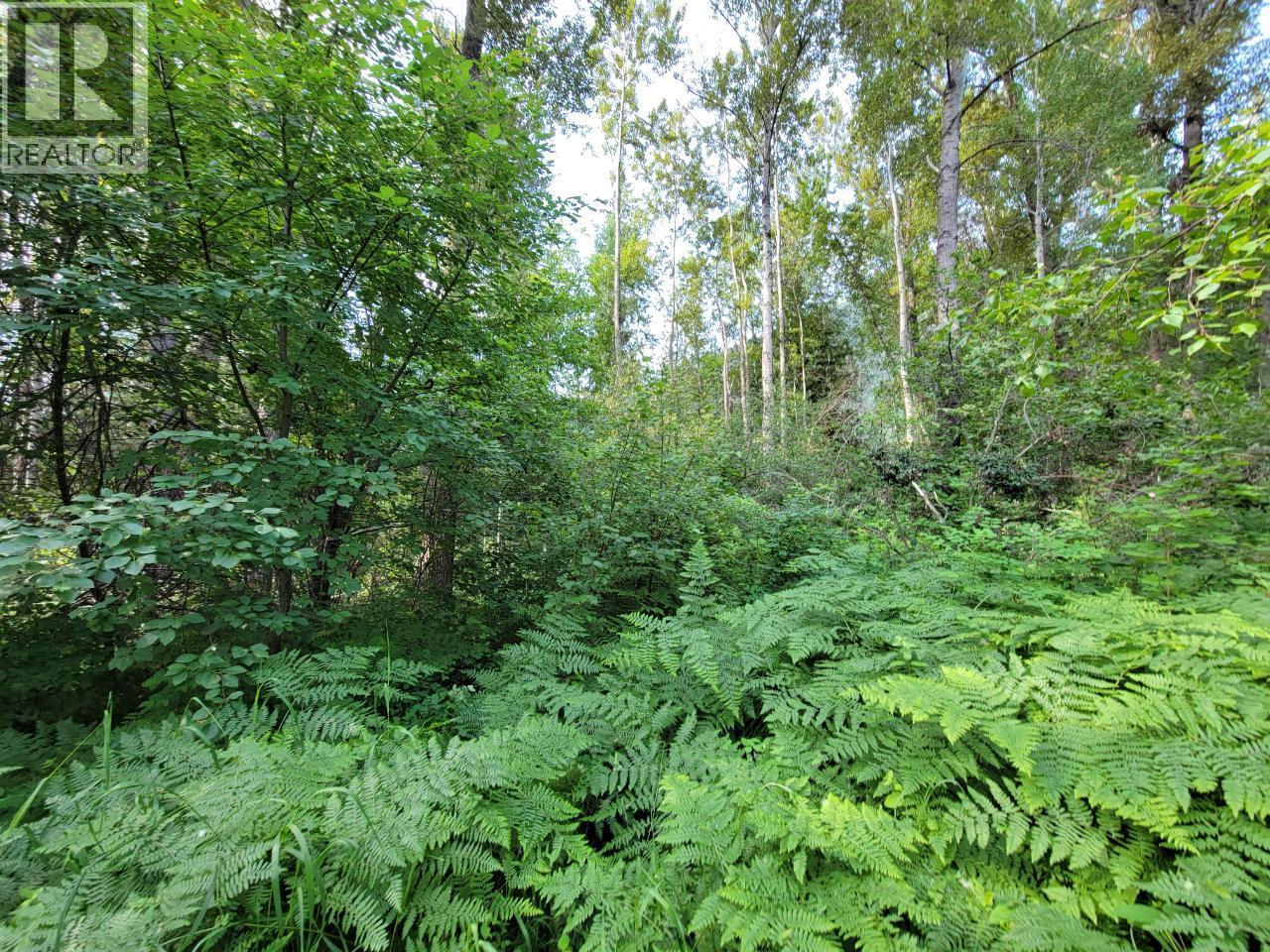 Lot 1 Passmore Old Road, Passmore, British Columbia  V0G 2J0 - Photo 22 - 10388533