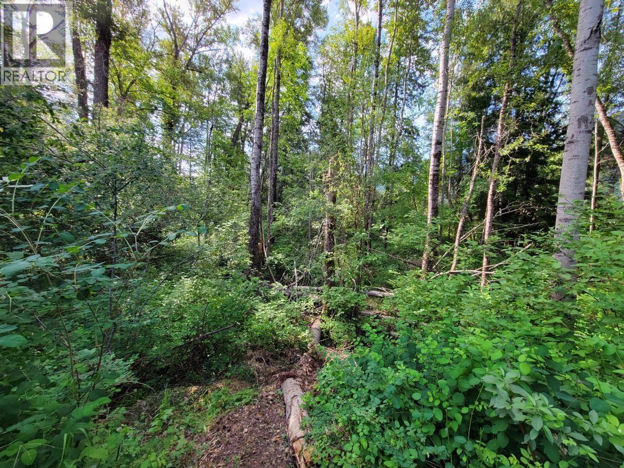 Lot 1 Passmore Old Road, Passmore, British Columbia  V0G 2J0 - Photo 3 - 10388533