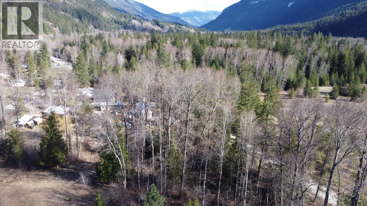 Lot 1 Passmore Old Road, Passmore, British Columbia  V0G 2J0 - Photo 7 - 10388533