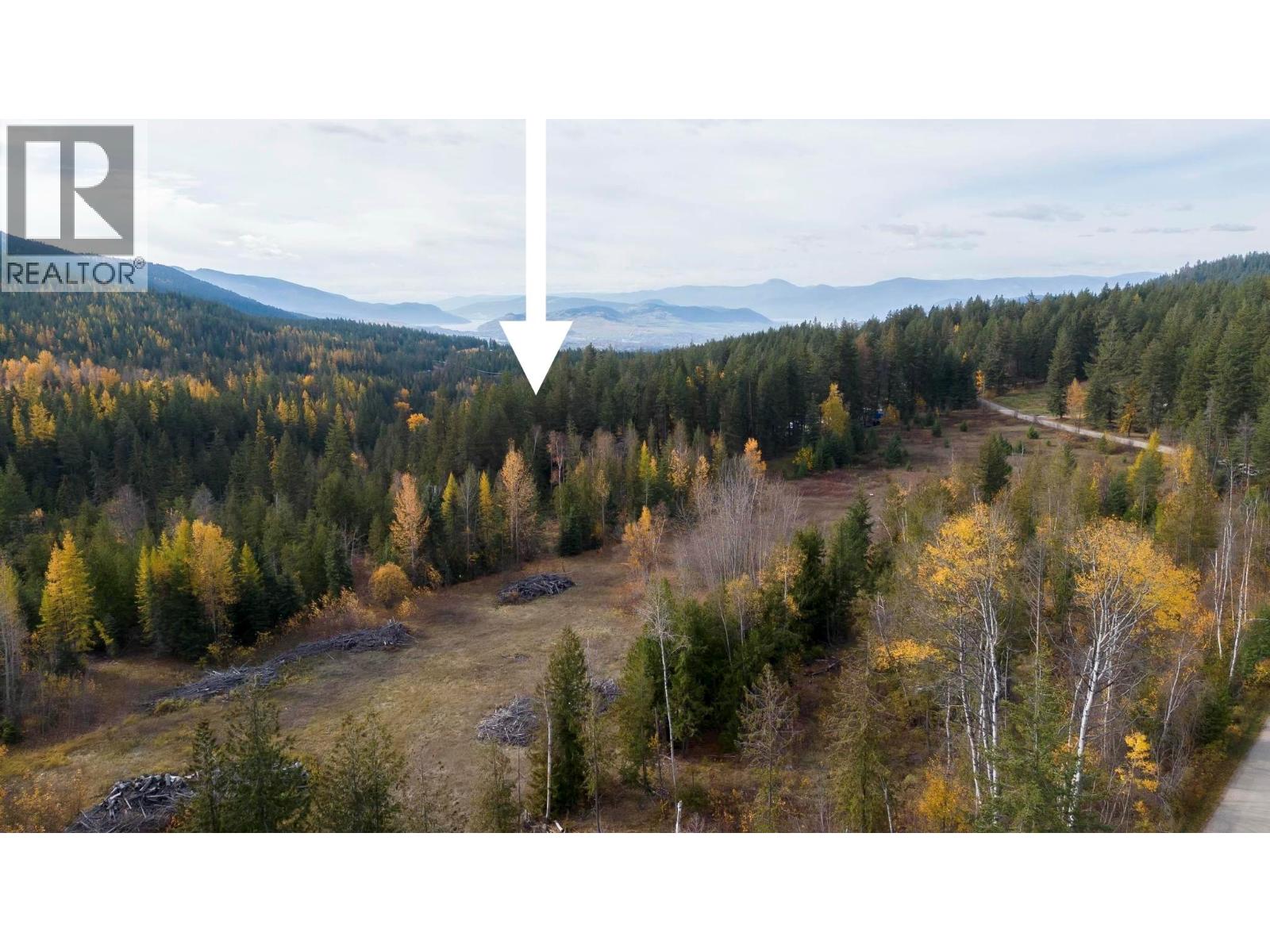 8008 Wallace Road, Vernon, British Columbia  V1B 3N2 - Photo 4 - 10389069