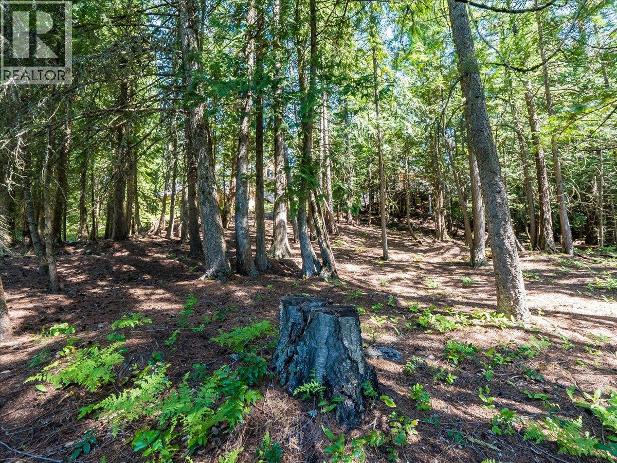 2209 Jenisa Road, Tarrys, British Columbia  V1N 4P1 - Photo 8 - 10388932