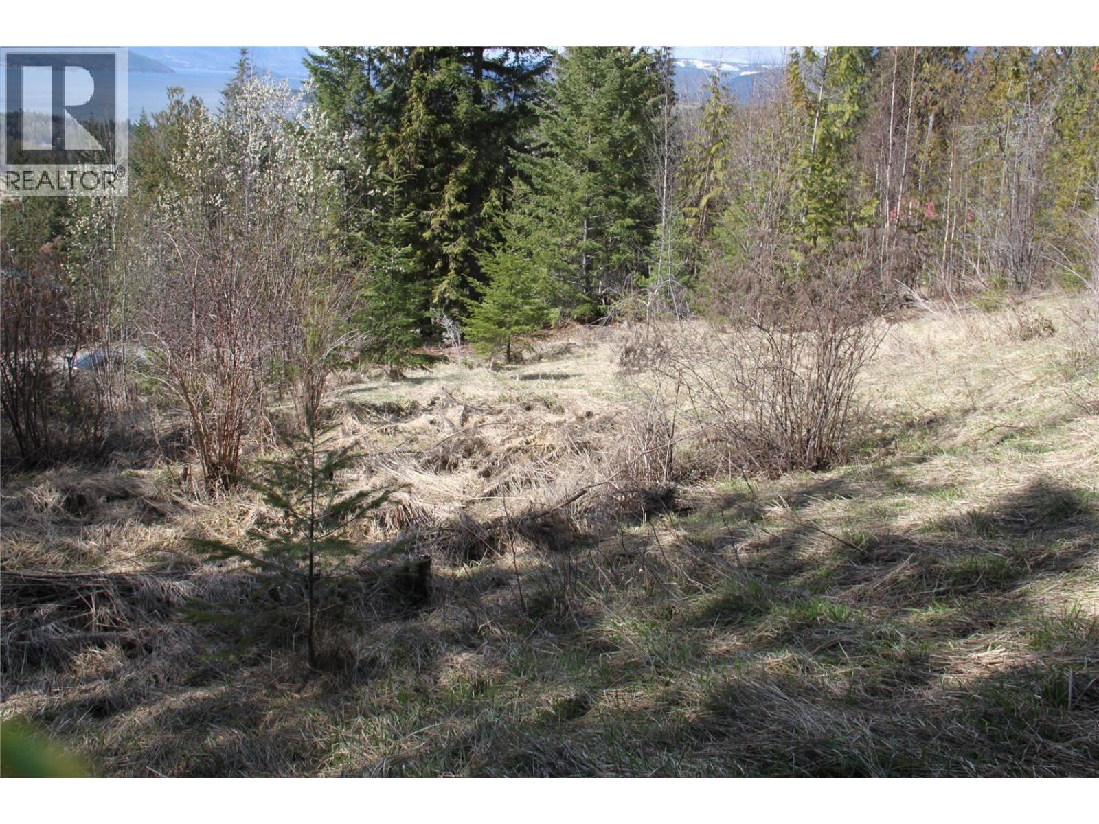 397 Aspen Road, Anglemont, British Columbia  V0E 1M8 - Photo 10 - 10389168