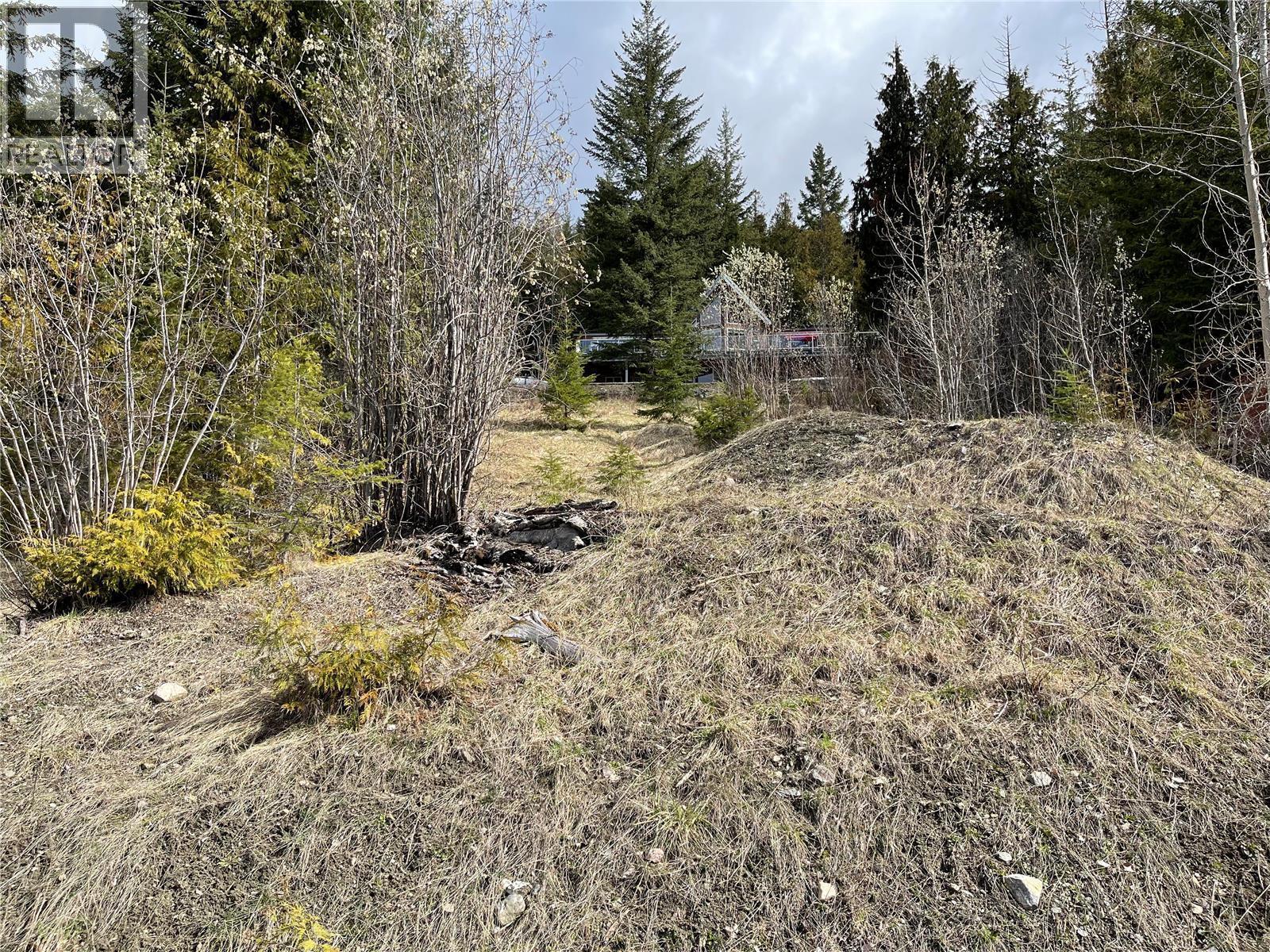 397 Aspen Road, Anglemont, British Columbia  V0E 1M8 - Photo 13 - 10389168