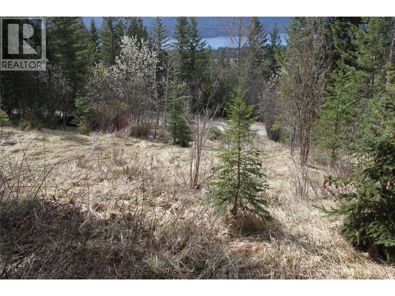 397 Aspen Road, Anglemont, British Columbia  V0E 1M8 - Photo 16 - 10389168