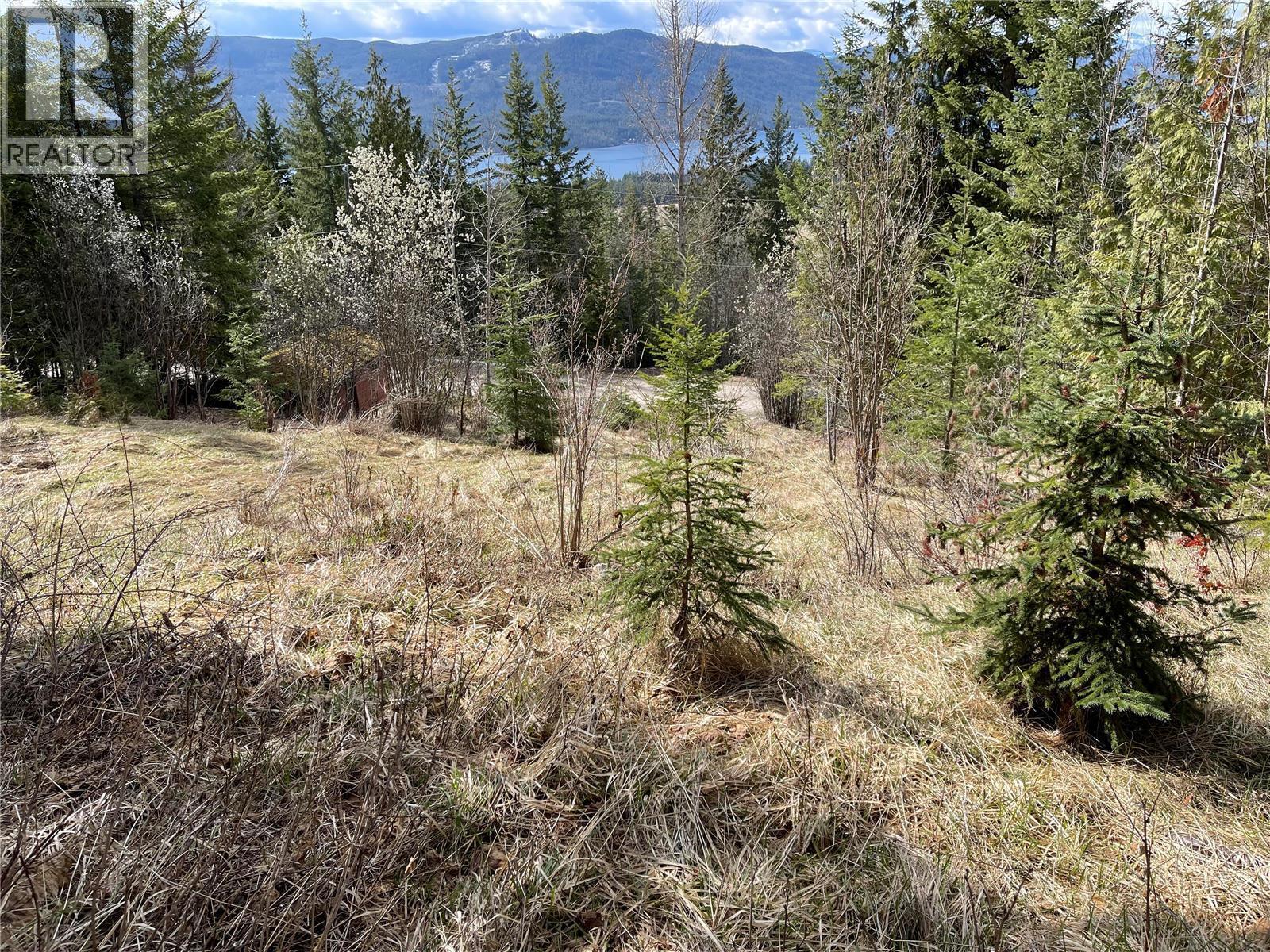 397 Aspen Road, Anglemont, British Columbia  V0E 1M8 - Photo 17 - 10389168