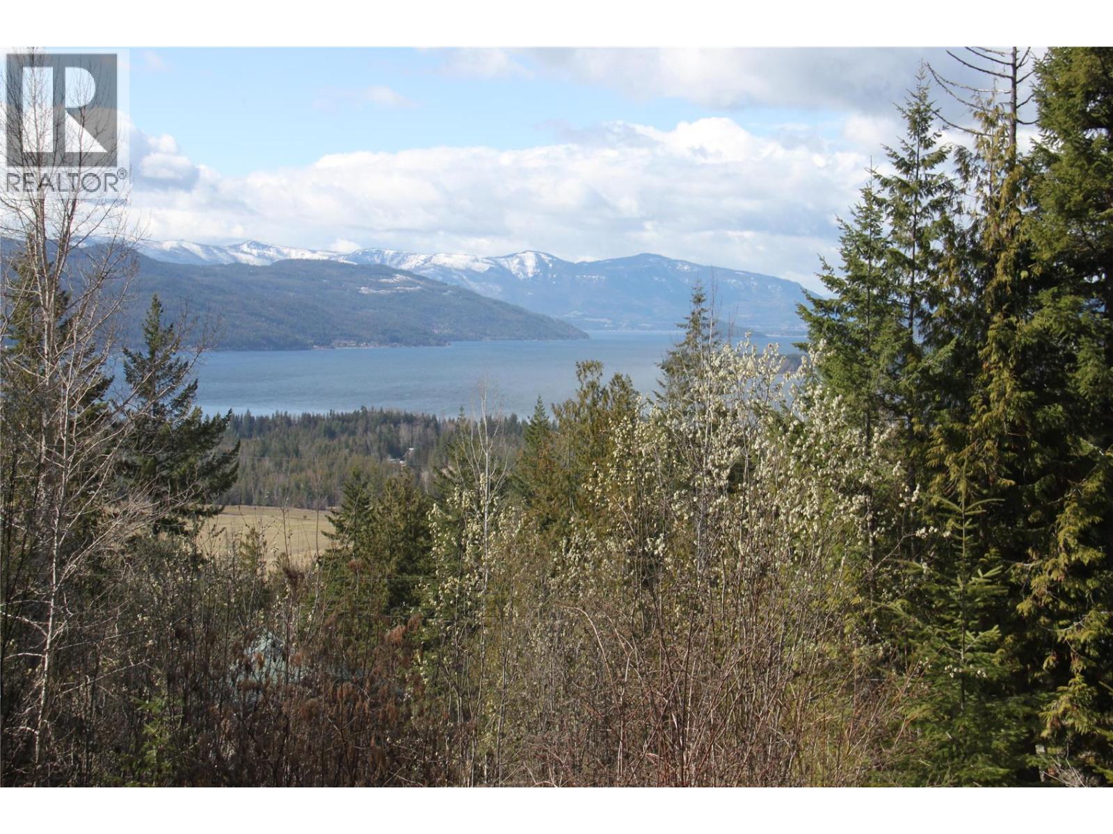 397 Aspen Road, Anglemont, British Columbia  V0E 1M8 - Photo 3 - 10389168