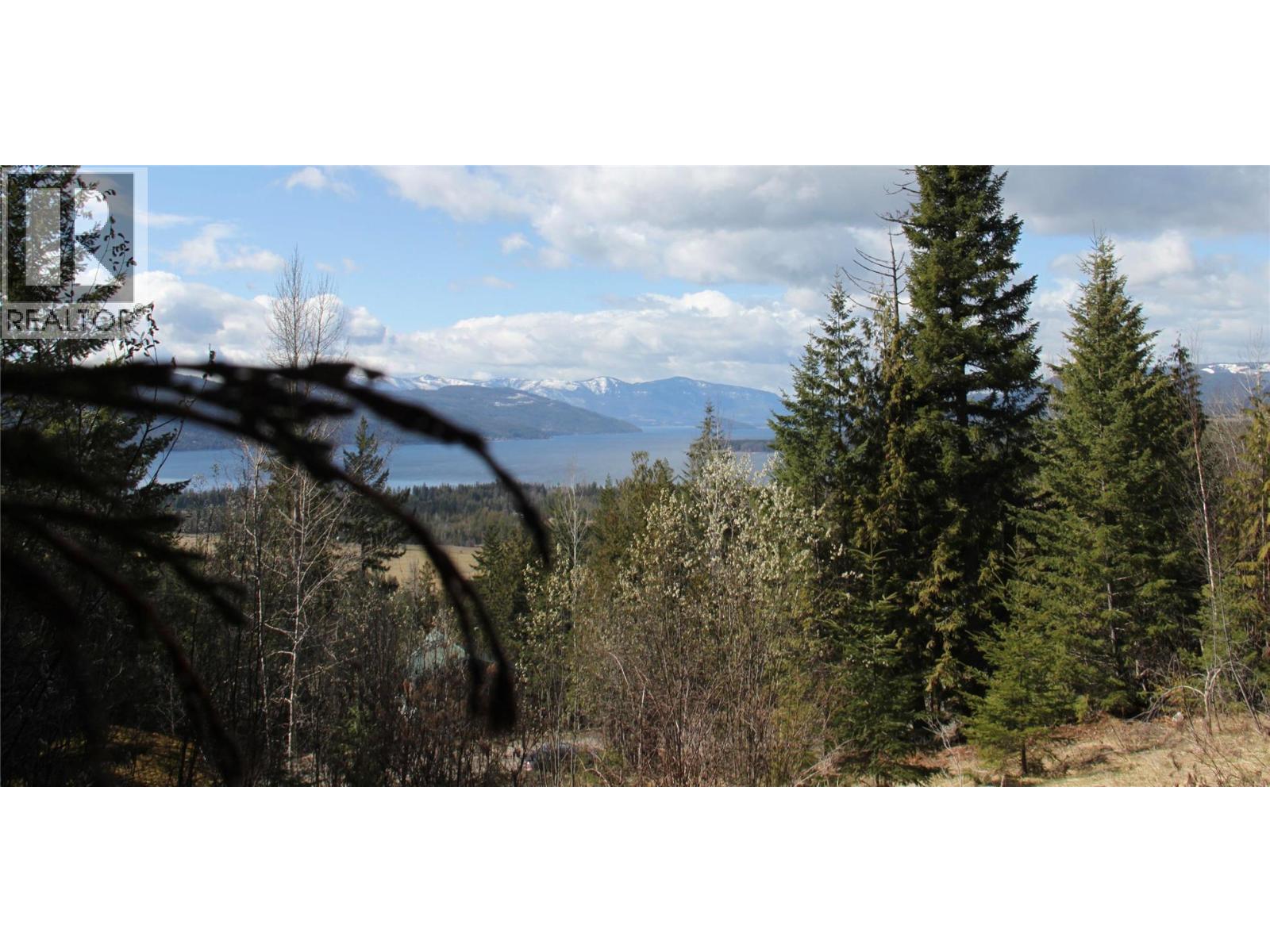 397 Aspen Road, Anglemont, British Columbia  V0E 1M8 - Photo 5 - 10389168
