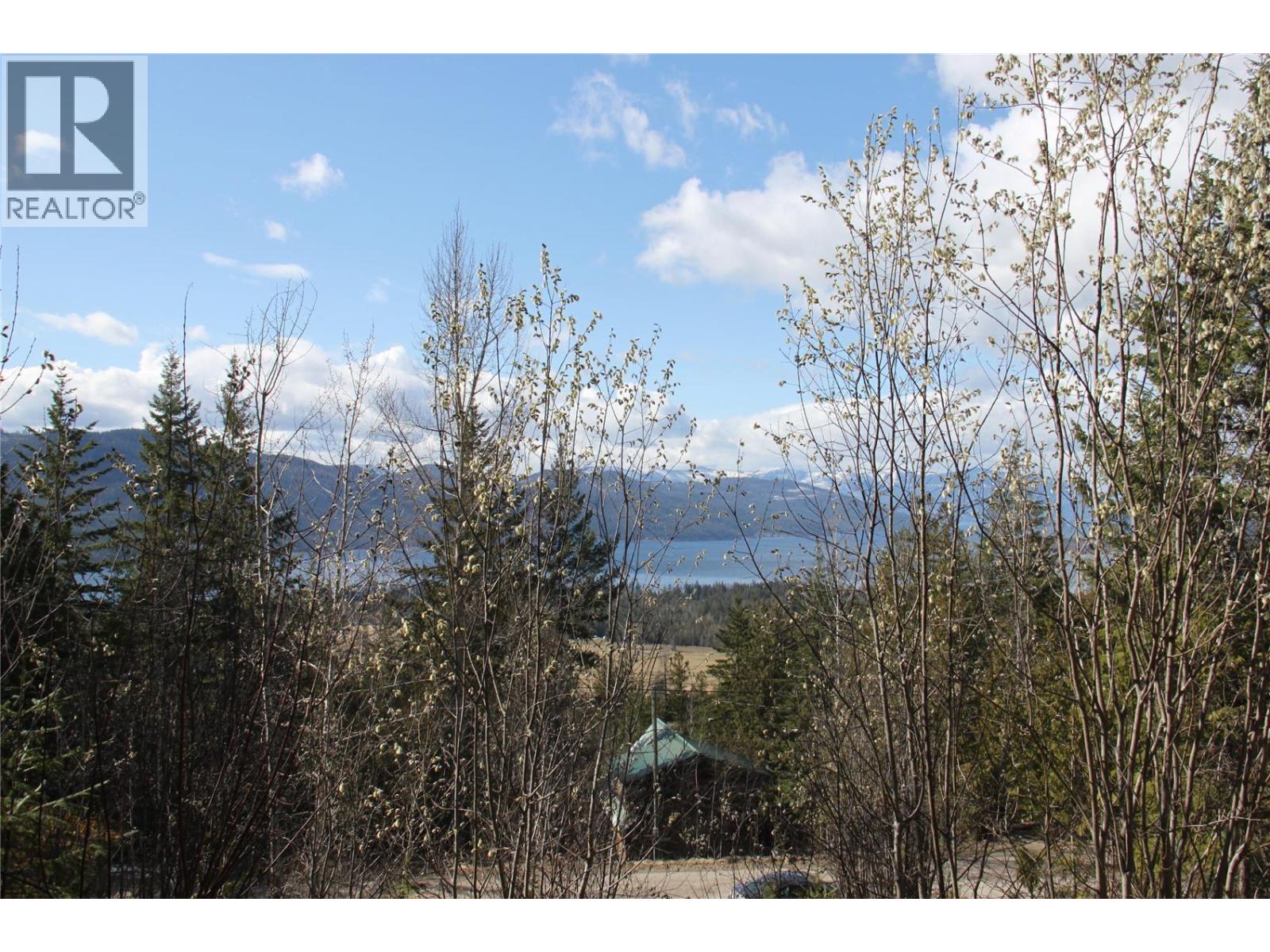 397 Aspen Road, Anglemont, British Columbia  V0E 1M8 - Photo 6 - 10389168