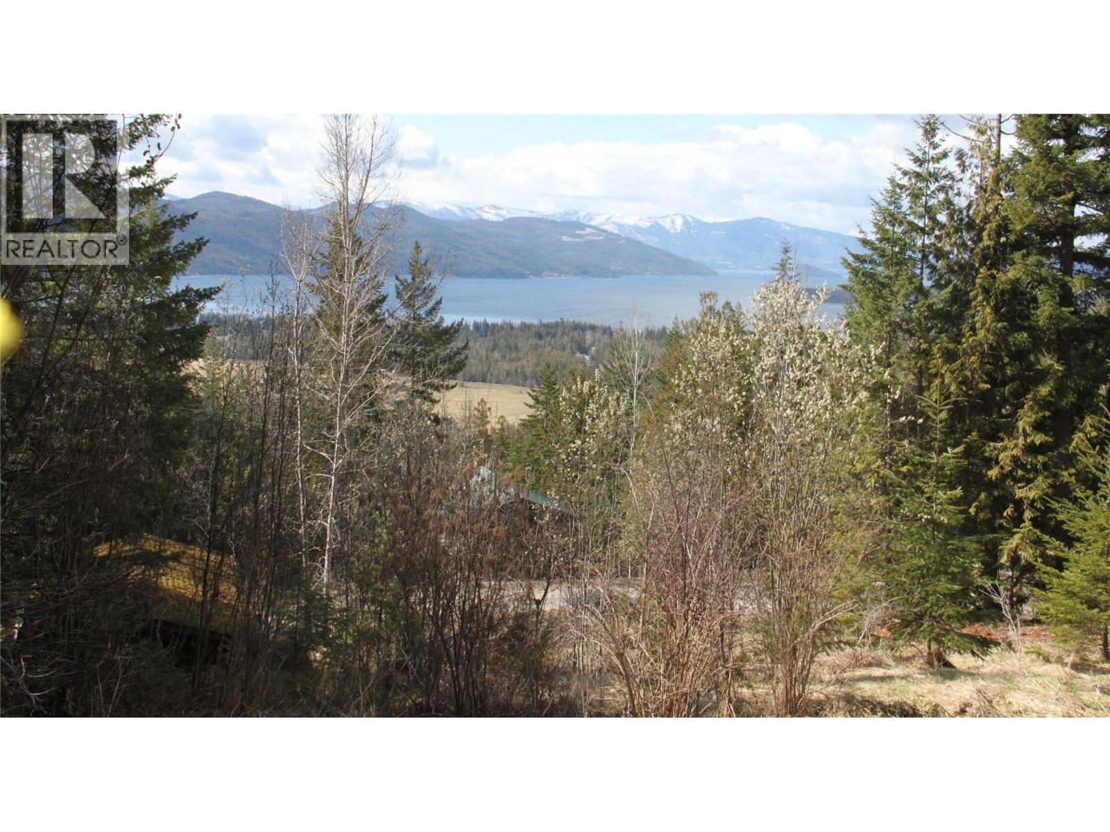 397 Aspen Road, Anglemont, British Columbia  V0E 1M8 - Photo 8 - 10389168