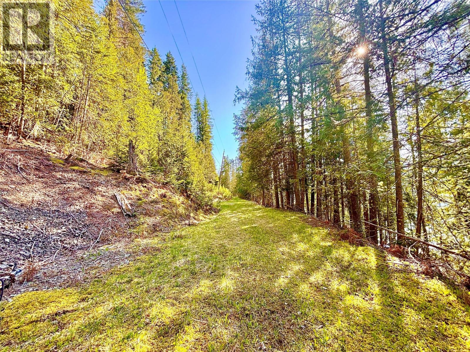 3614 Lumby Mabel Lake Road, Lumby, British Columbia  V0E 2G6 - Photo 39 - 10386797