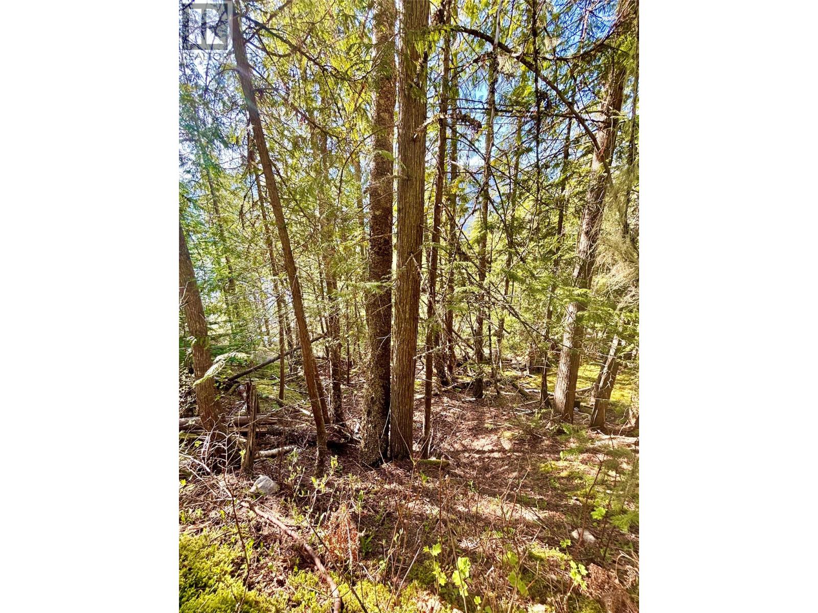 3614 Lumby Mabel Lake Road, Lumby, British Columbia  V0E 2G6 - Photo 41 - 10386797