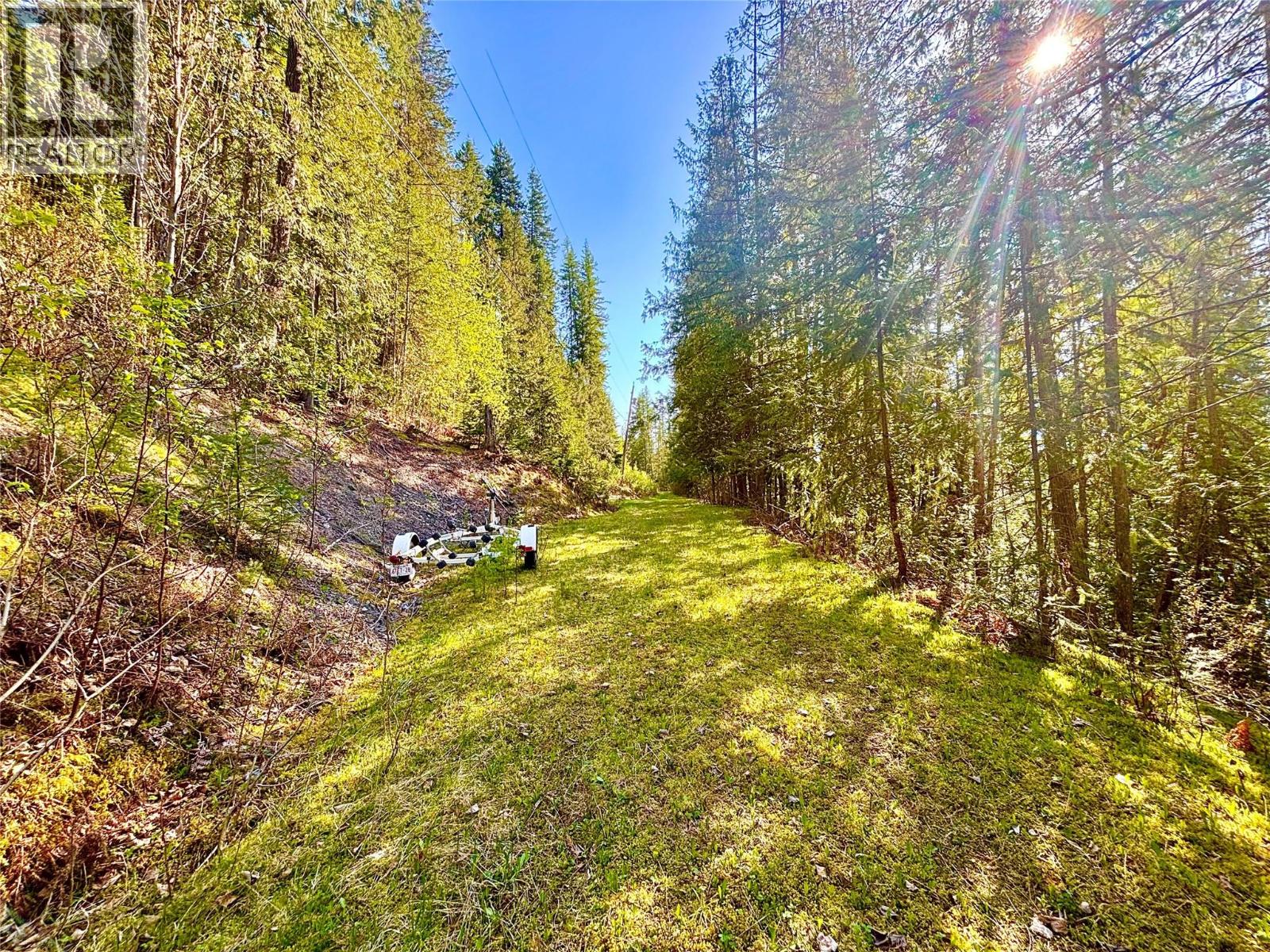 3614 Lumby Mabel Lake Road, Lumby, British Columbia  V0E 2G6 - Photo 5 - 10386797
