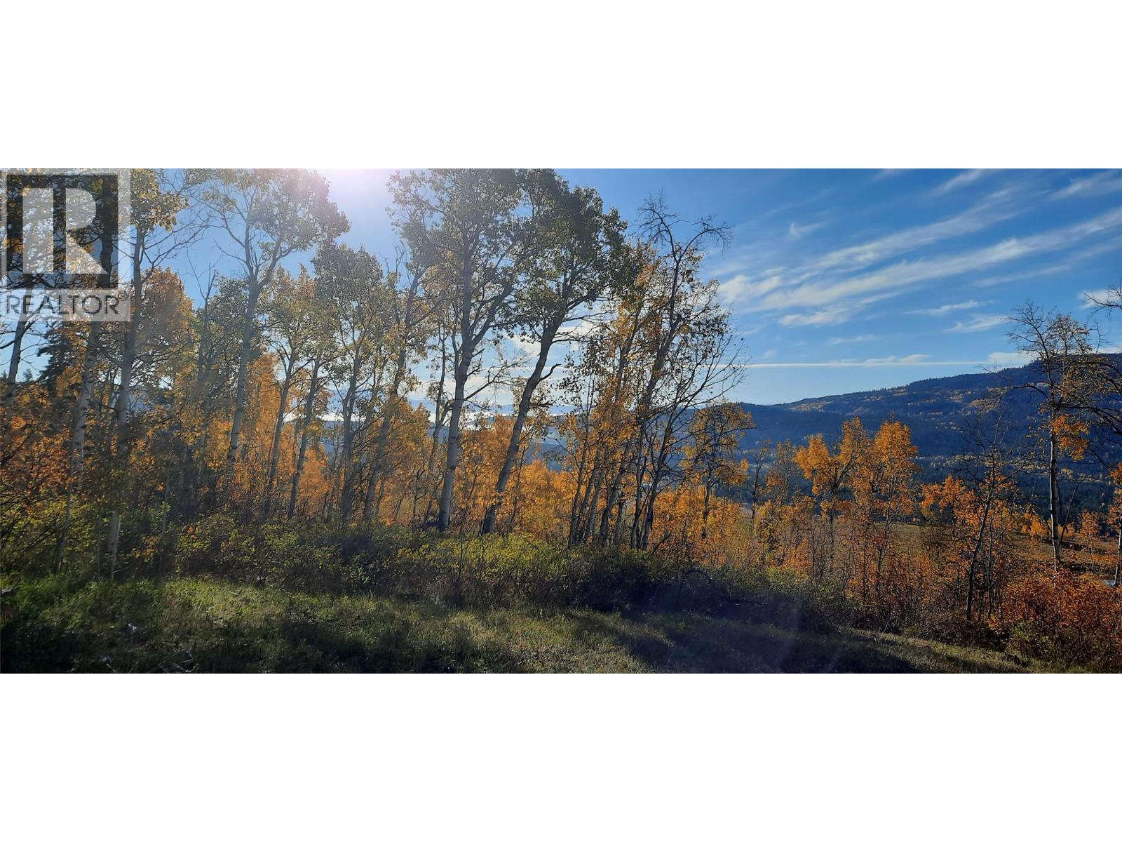 2945 Botta Road, Kamloops, British Columbia  V0E 3E0 - Photo 12 - 10388476