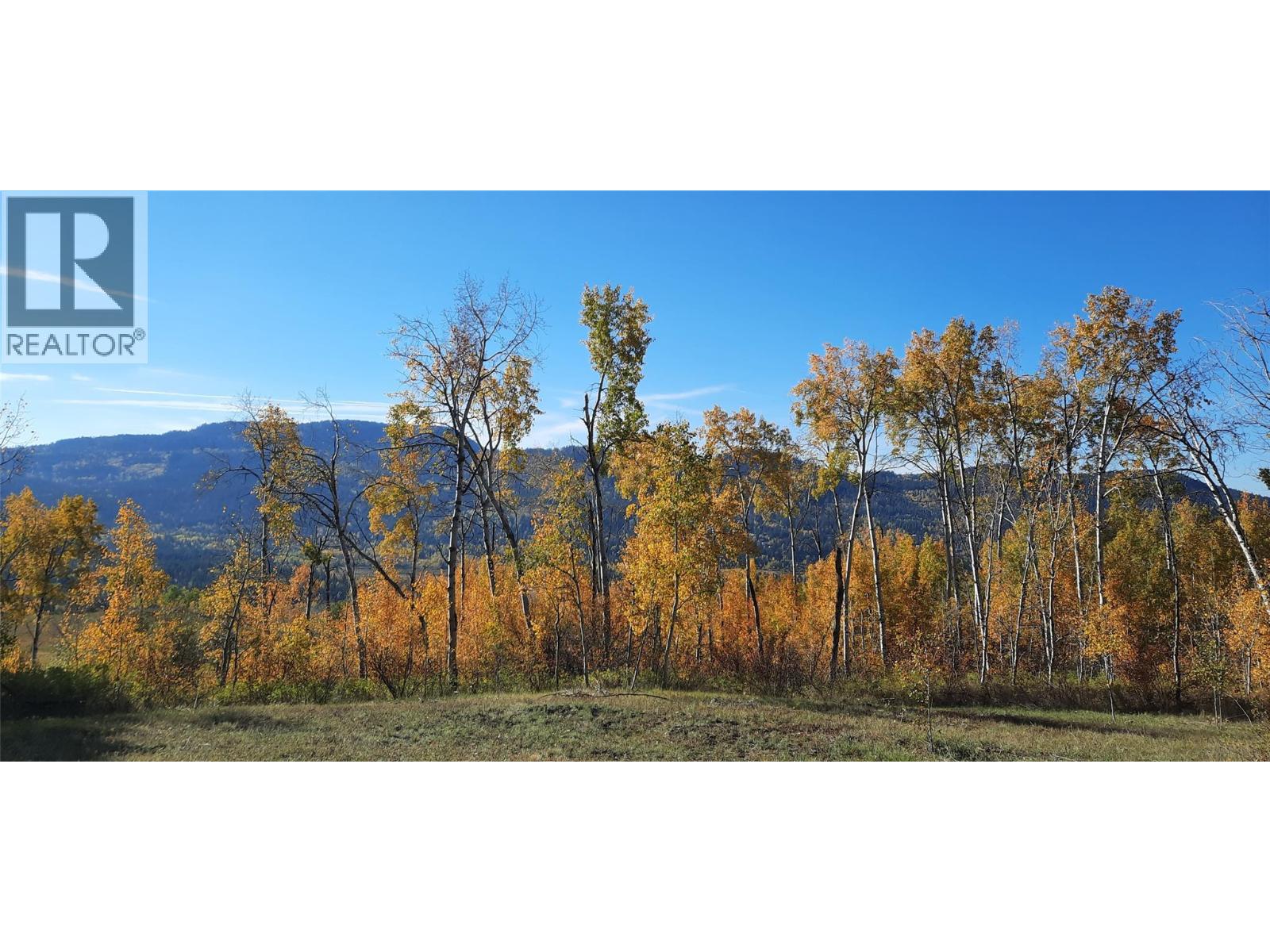 2945 Botta Road, Kamloops, British Columbia  V0E 3E0 - Photo 14 - 10388476