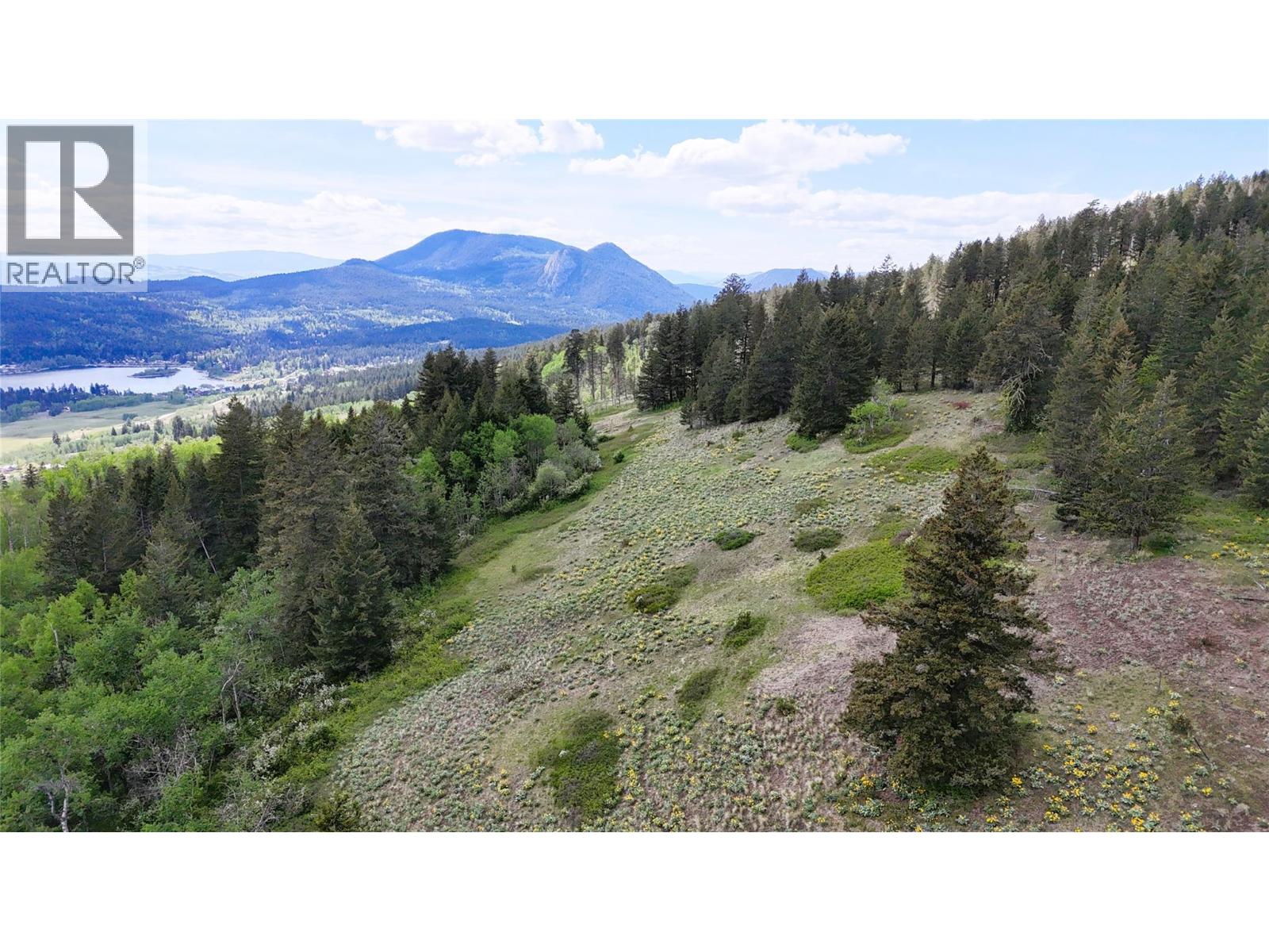 2945 Botta Road, Kamloops, British Columbia  V0E 3E0 - Photo 21 - 10388476