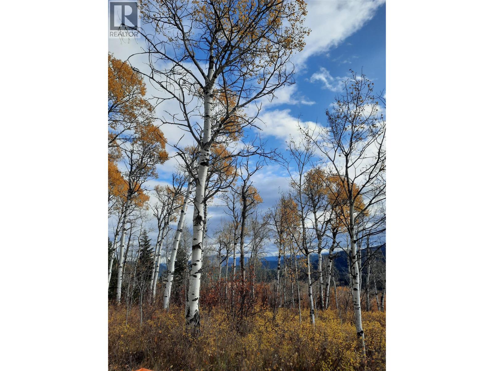 2945 Botta Road, Kamloops, British Columbia  V0E 3E0 - Photo 35 - 10388476