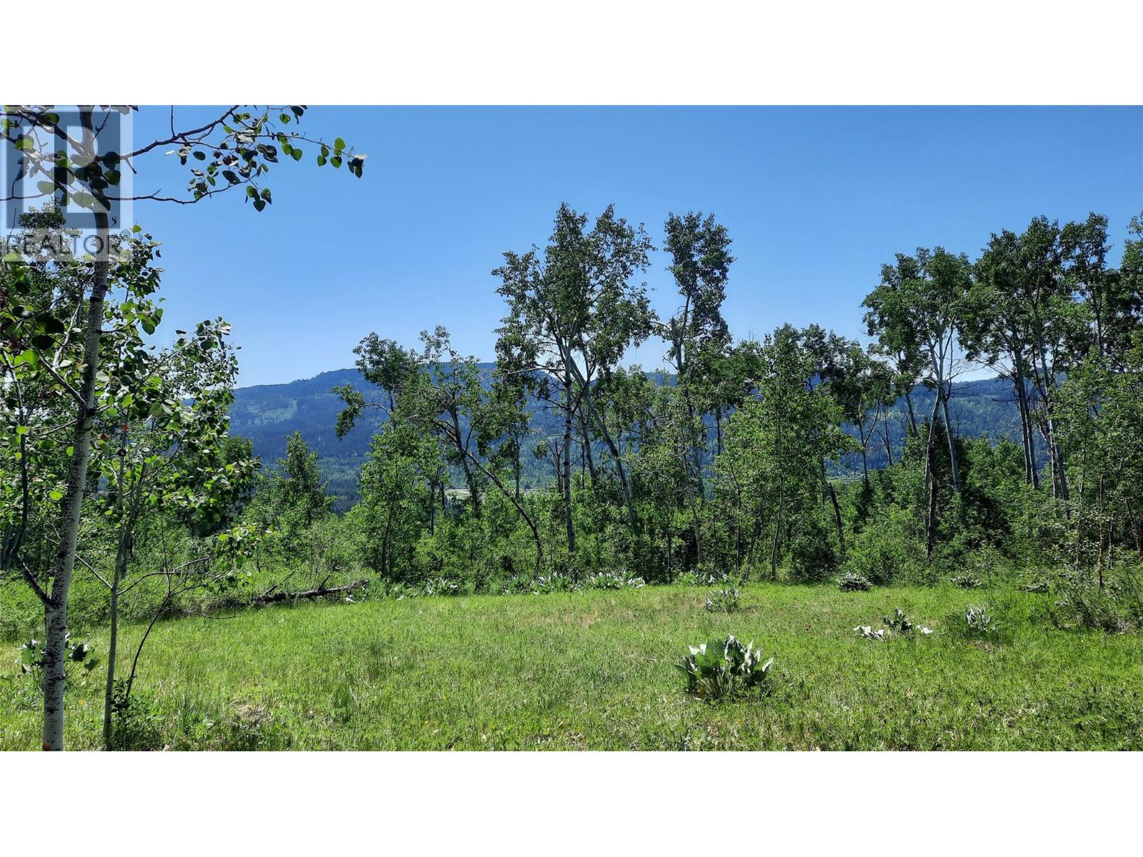 2945 Botta Road, Kamloops, British Columbia  V0E 3E0 - Photo 5 - 10388476