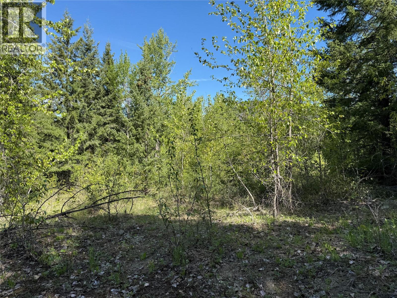 Hepburn Road Lot# 6-B, Chase, British Columbia  V0E 1M1 - Photo 3 - 10388822