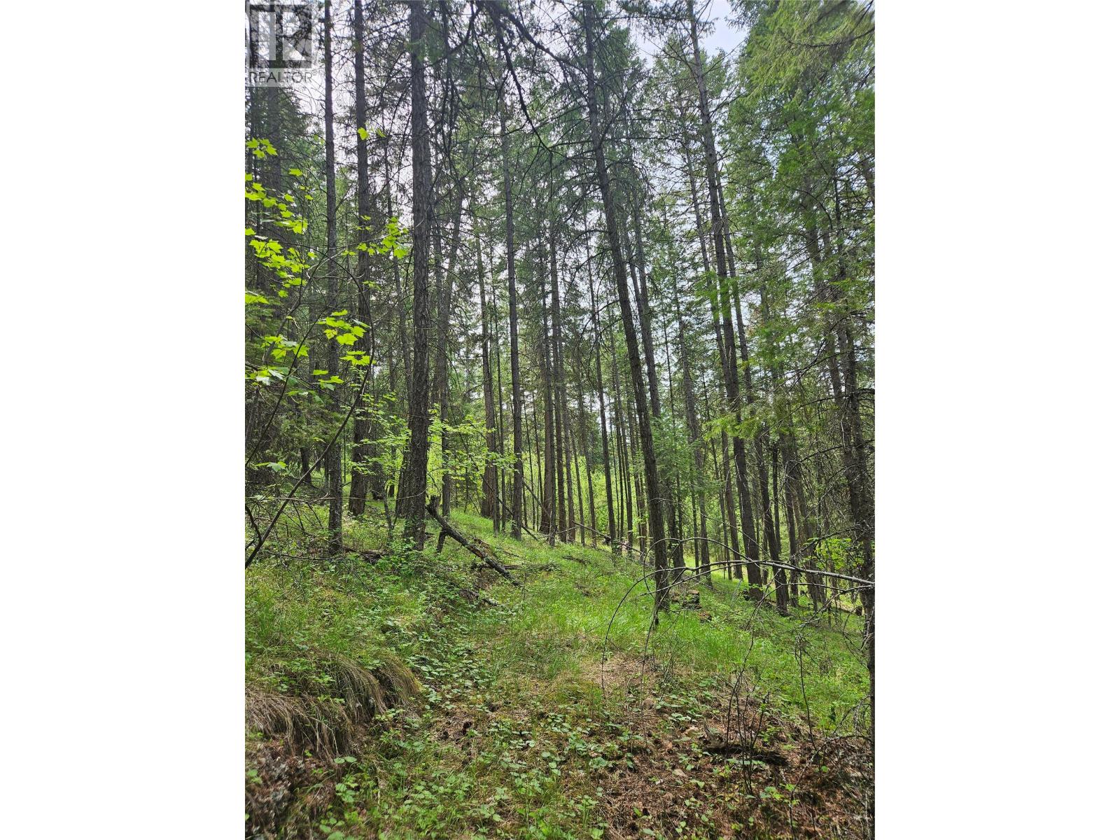 Hepburn Road Lot# 6-B, Chase, British Columbia  V0E 1M1 - Photo 5 - 10388822