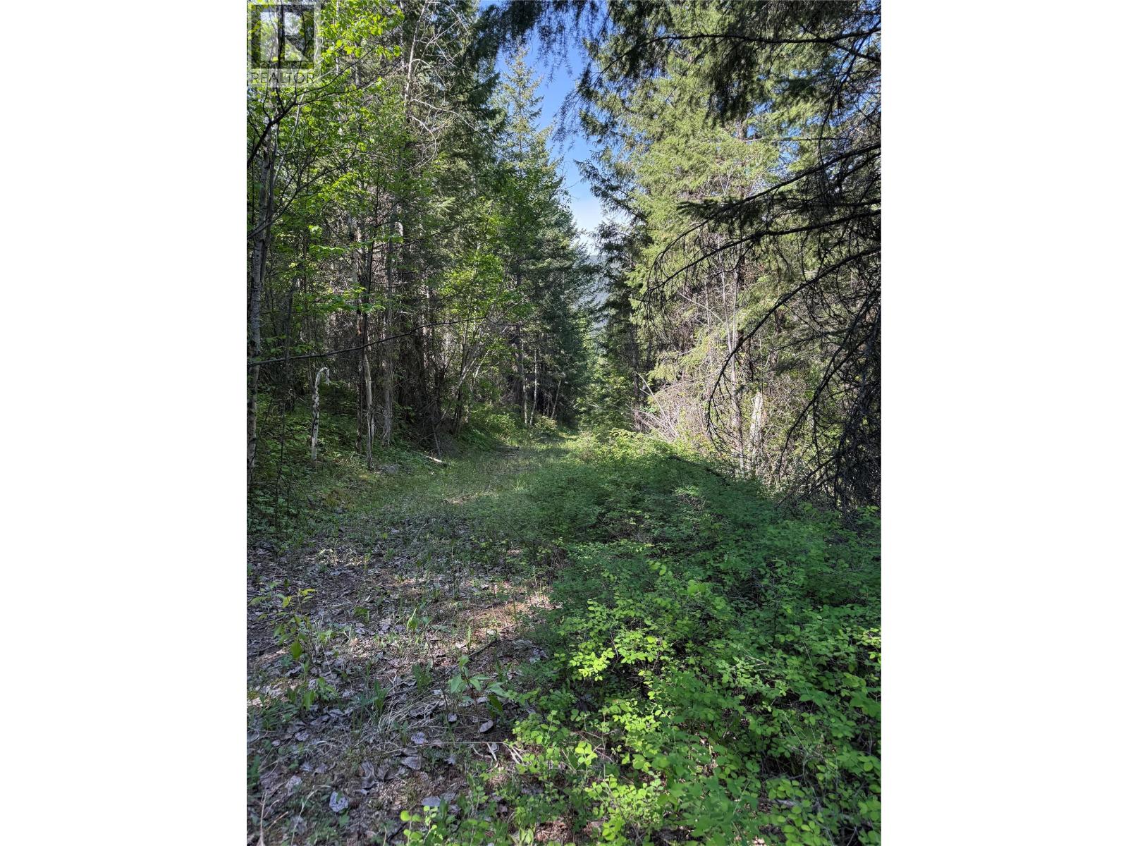 Hepburn Road Lot# 6-B, Chase, British Columbia  V0E 1M1 - Photo 7 - 10388822