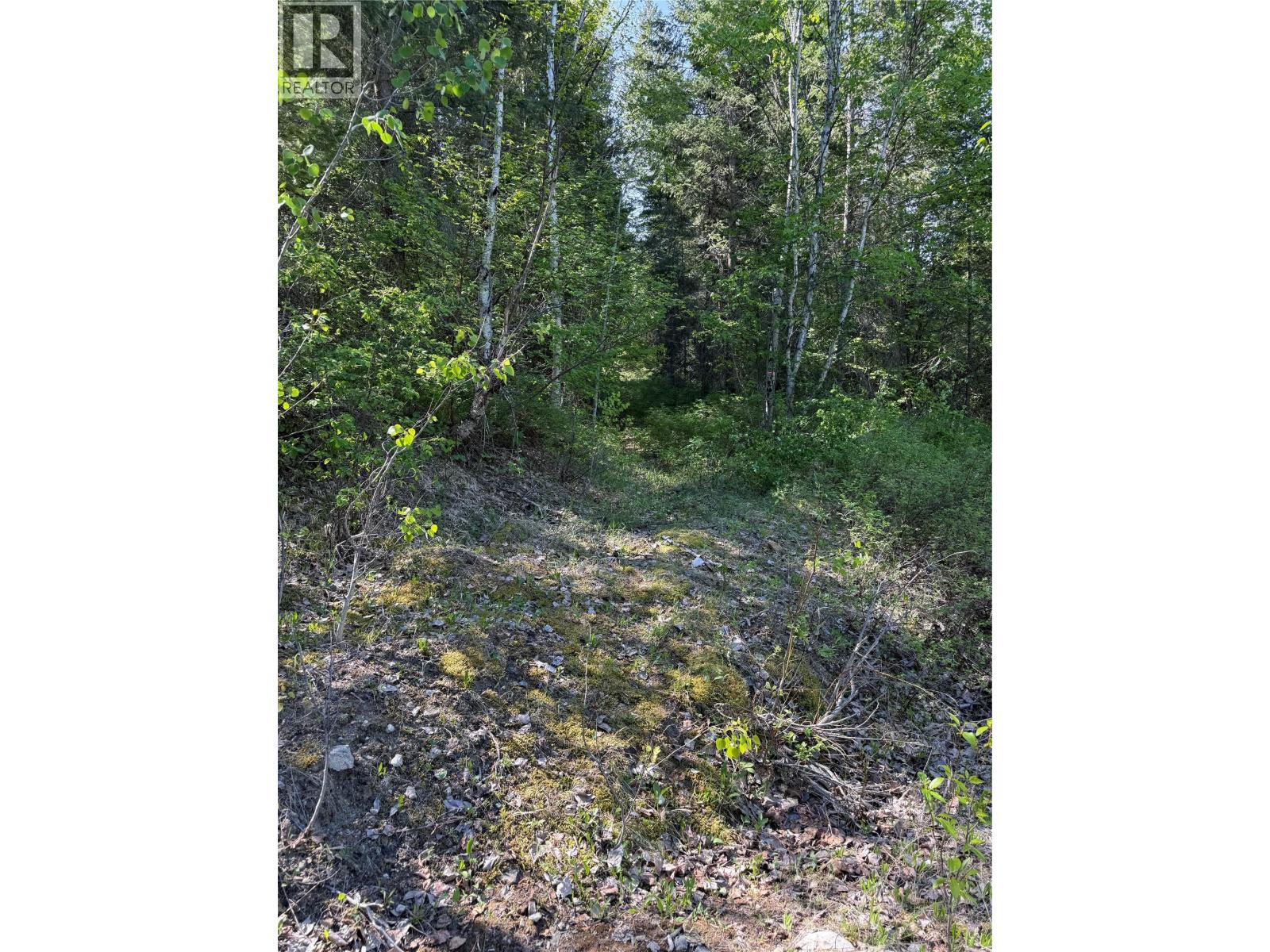 Hepburn Road Lot# 6-B, Chase, British Columbia  V0E 1M1 - Photo 9 - 10388822