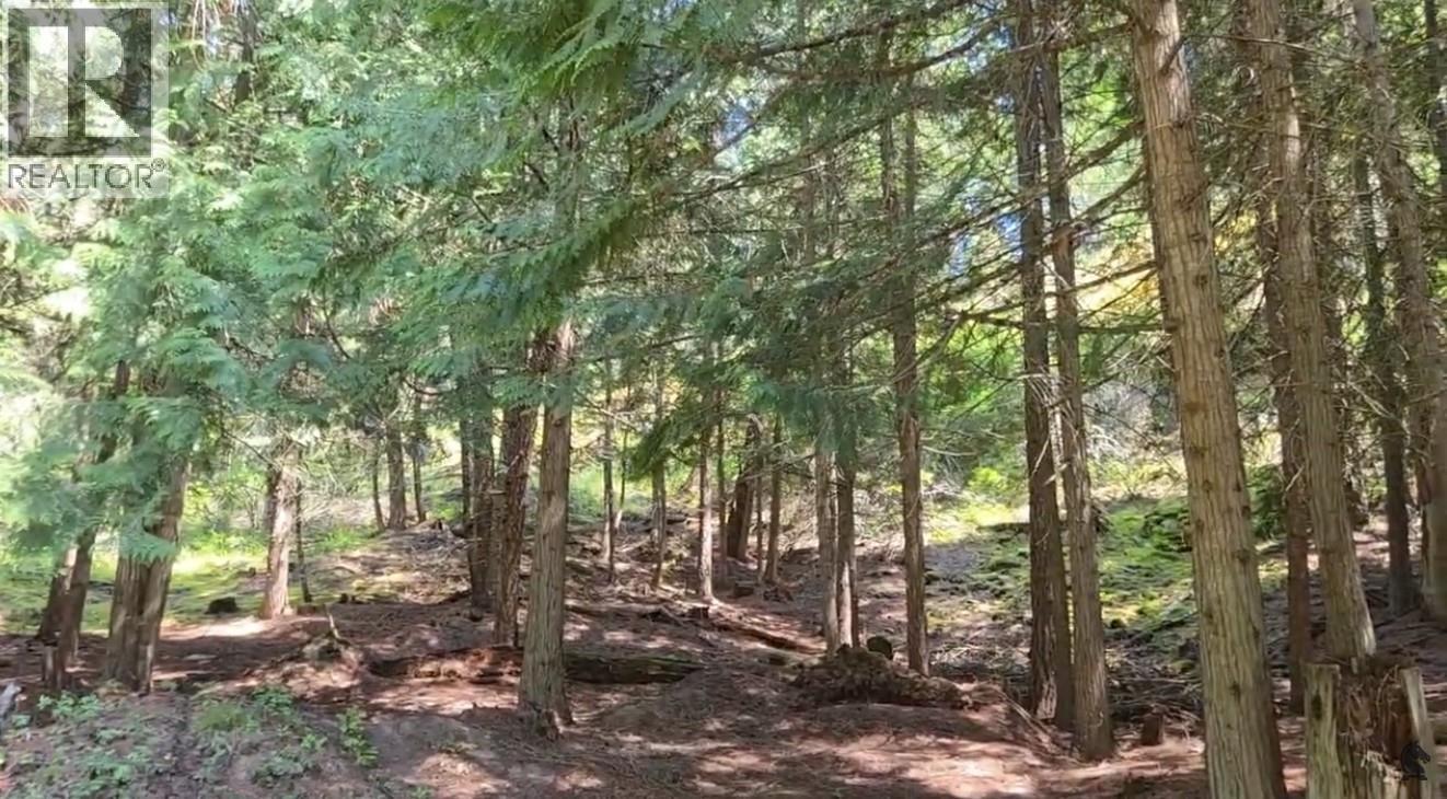 Snider Road Lot# B, Lister, British Columbia  V0B 1G2 - Photo 5 - 10389088