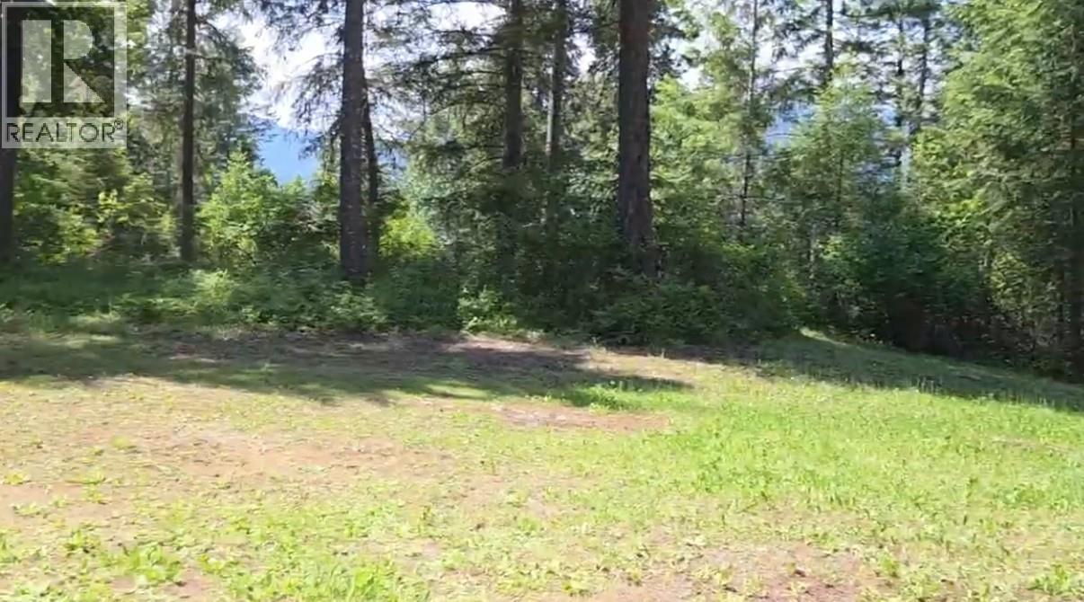 Snider Road Lot# B, Lister, British Columbia  V0B 1G2 - Photo 6 - 10389088
