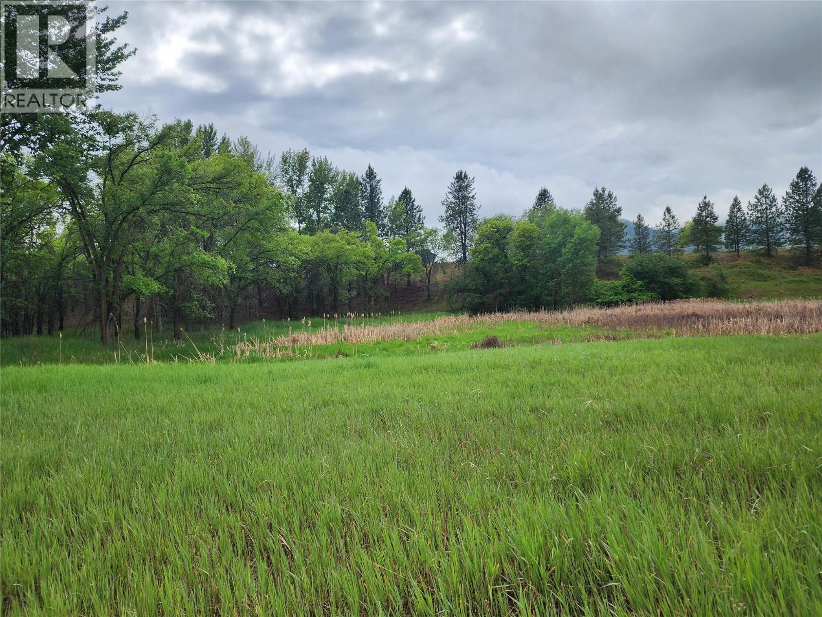 17th Street Lot# Lot 11, Grand Forks, British Columbia  V0H 1H0 - Photo 5 - 10387889