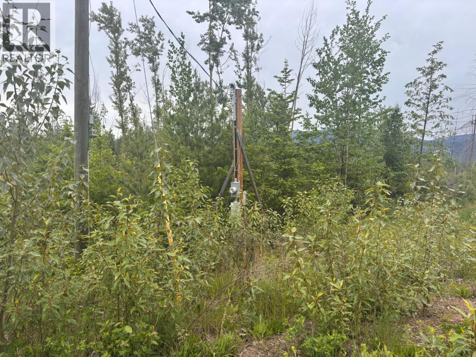 2839 Garland Road, Celista, British Columbia  V0E 1M6 - Photo 10 - 10389278