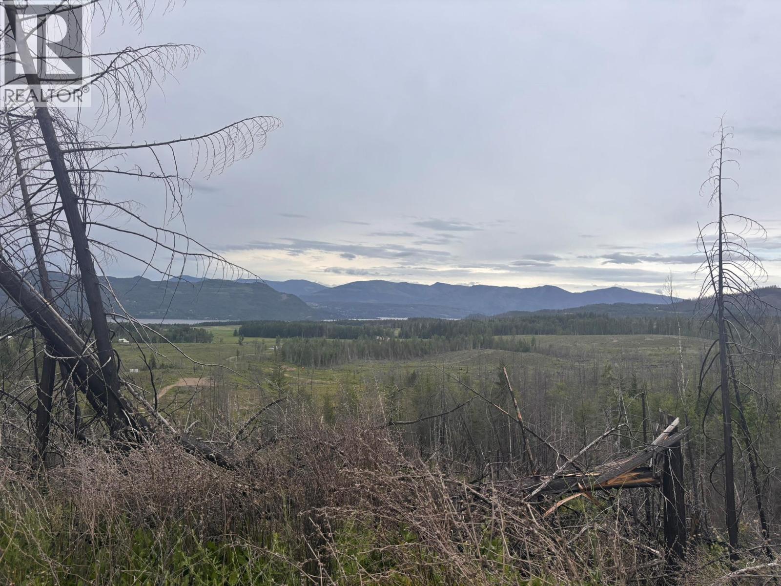2839 Garland Road, Celista, British Columbia  V0E 1M6 - Photo 4 - 10389278