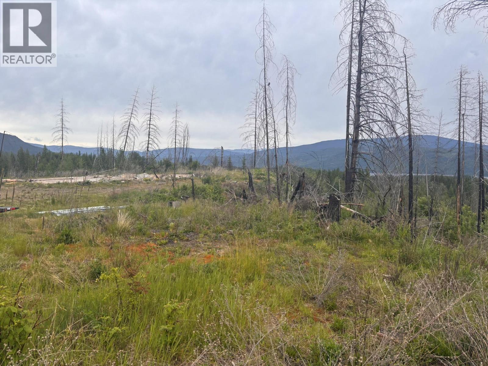 2839 Garland Road, Celista, British Columbia  V0E 1M6 - Photo 5 - 10389278