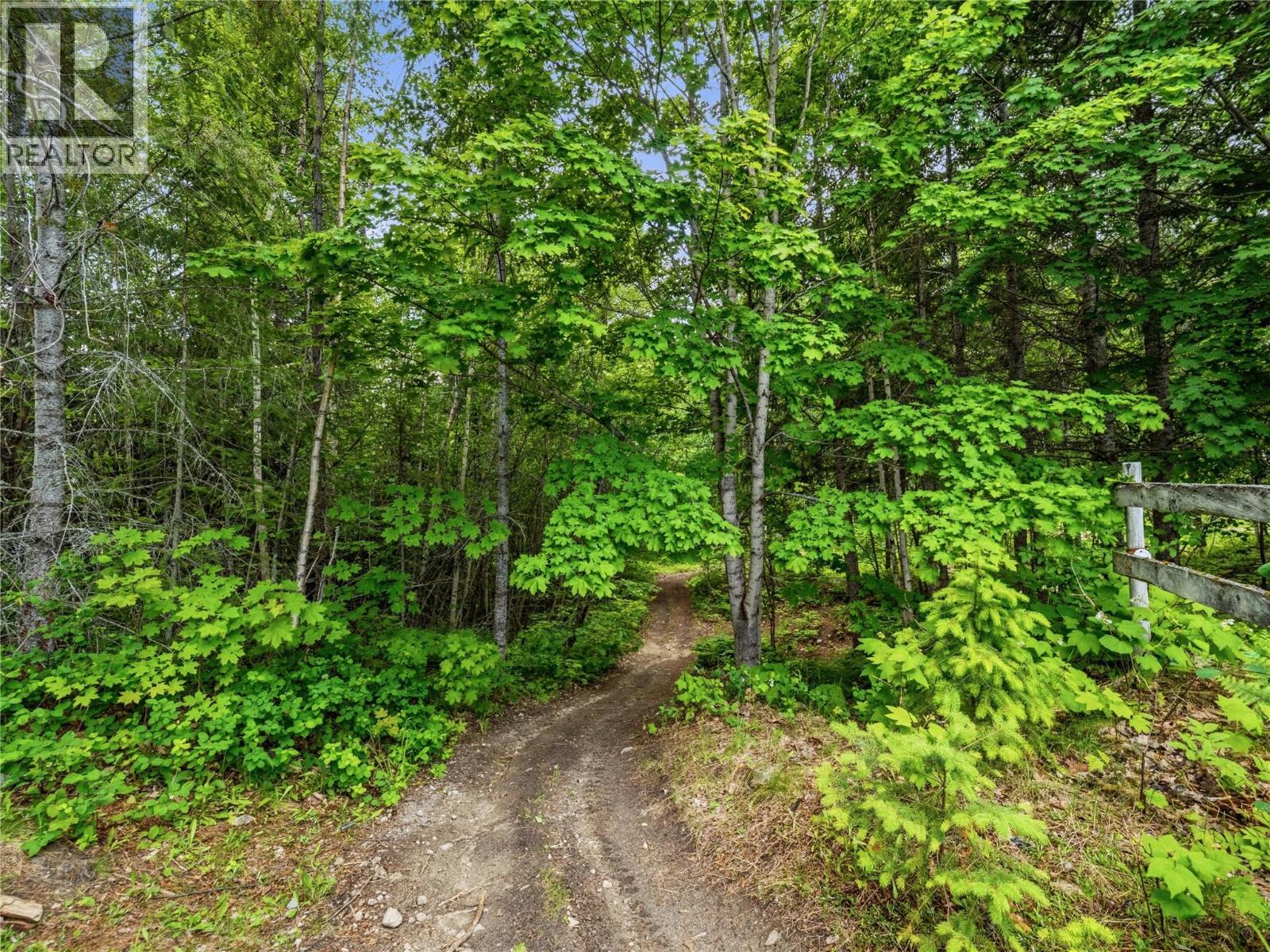 5150 49 Street Nw, Salmon Arm, British Columbia  V1E 3A6 - Photo 48 - 10389102