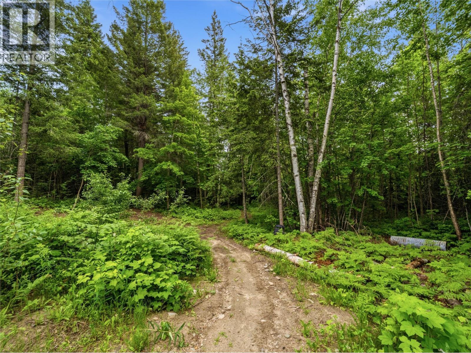 5150 49 Street Nw, Salmon Arm, British Columbia  V1E 3A6 - Photo 65 - 10389102
