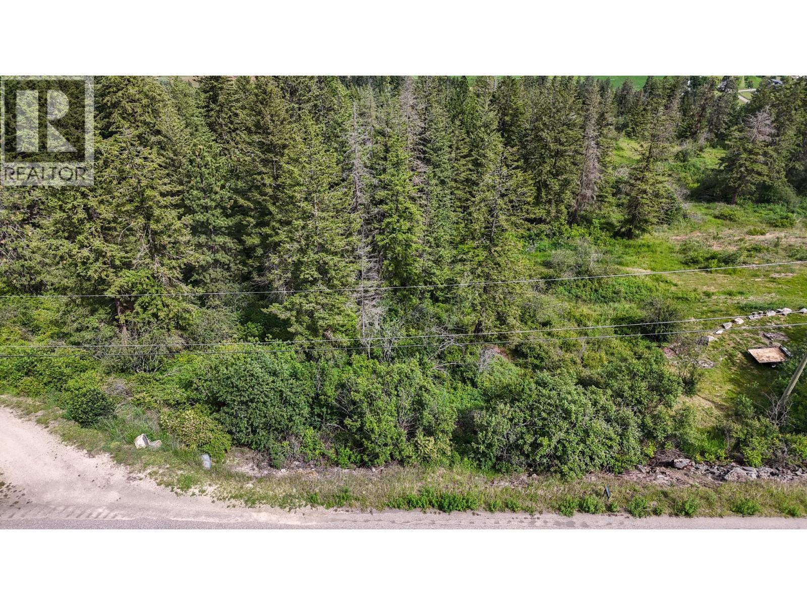 121 Twin Lakes Road, Enderby, British Columbia  V0E 1V3 - Photo 4 - 10389325