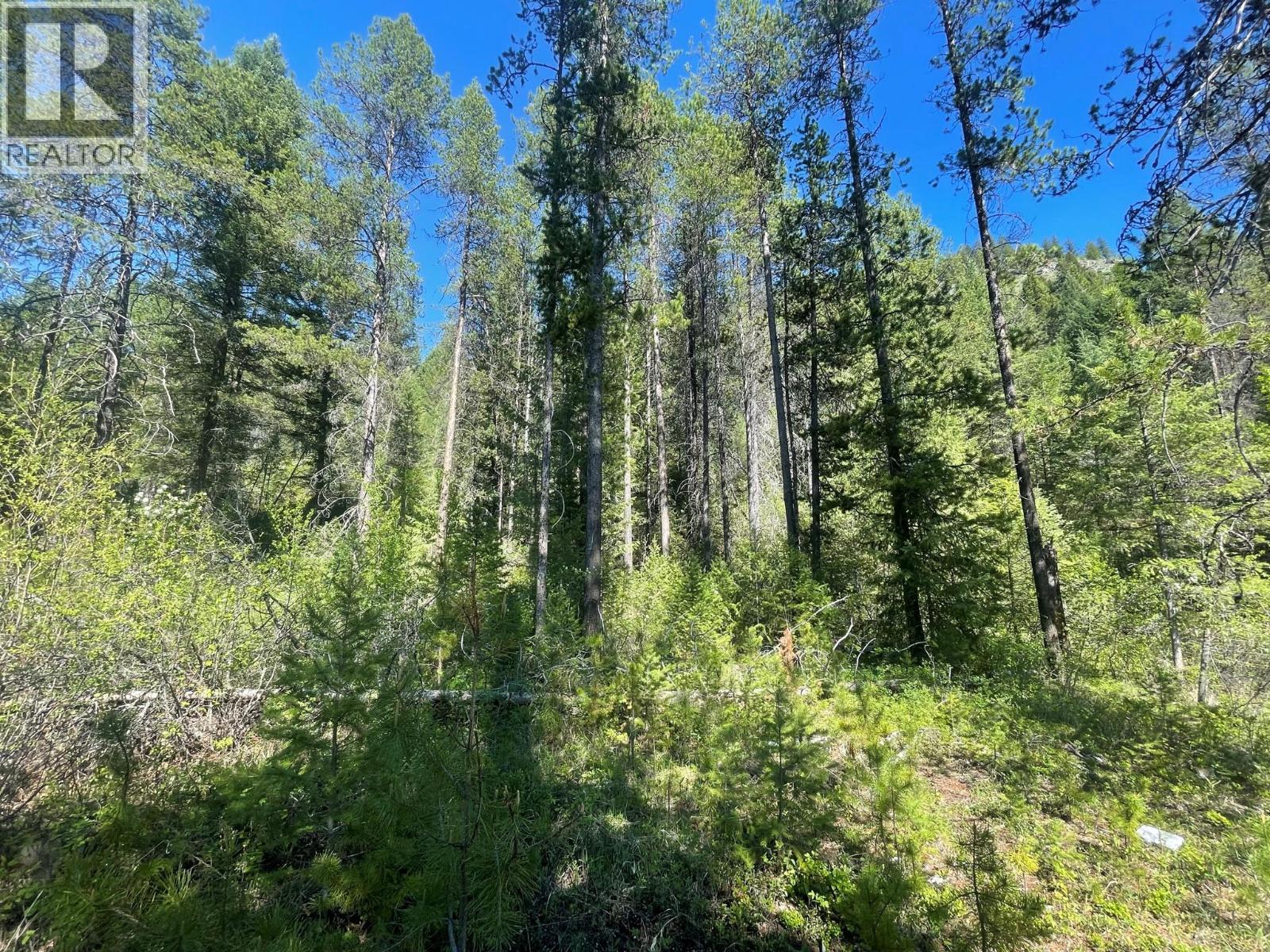 Lot 4 Strathmore Avenue Lot# 4, Greenwood, British Columbia  V0H 1J0 - Photo 14 - 10389387