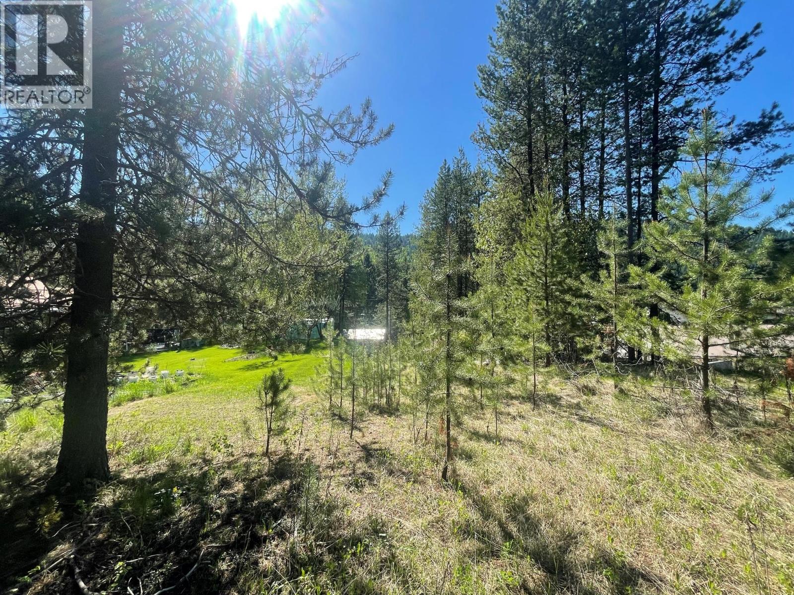 Lot 4 Strathmore Avenue Lot# 4, Greenwood, British Columbia  V0H 1J0 - Photo 4 - 10389387