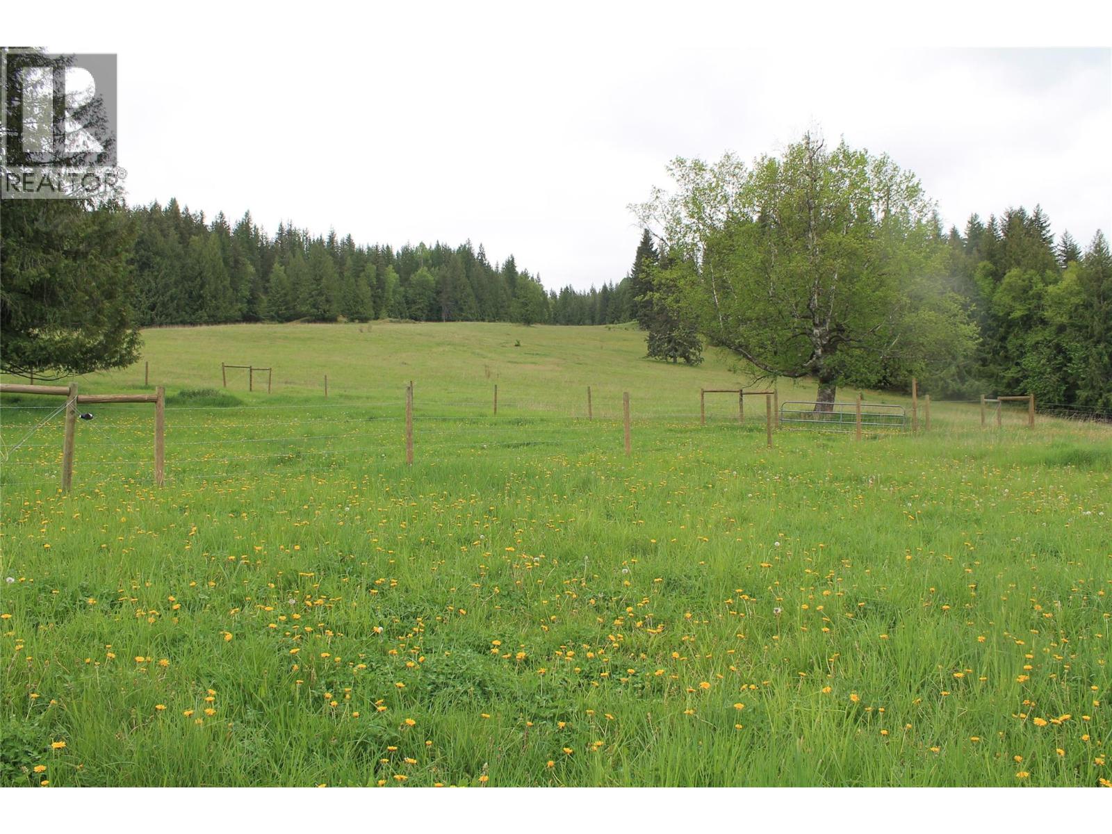 2301 Lumby Mabel Lake Road Lot# 1, Lumby, British Columbia  V0E 2G6 - Photo 21 - 10389416