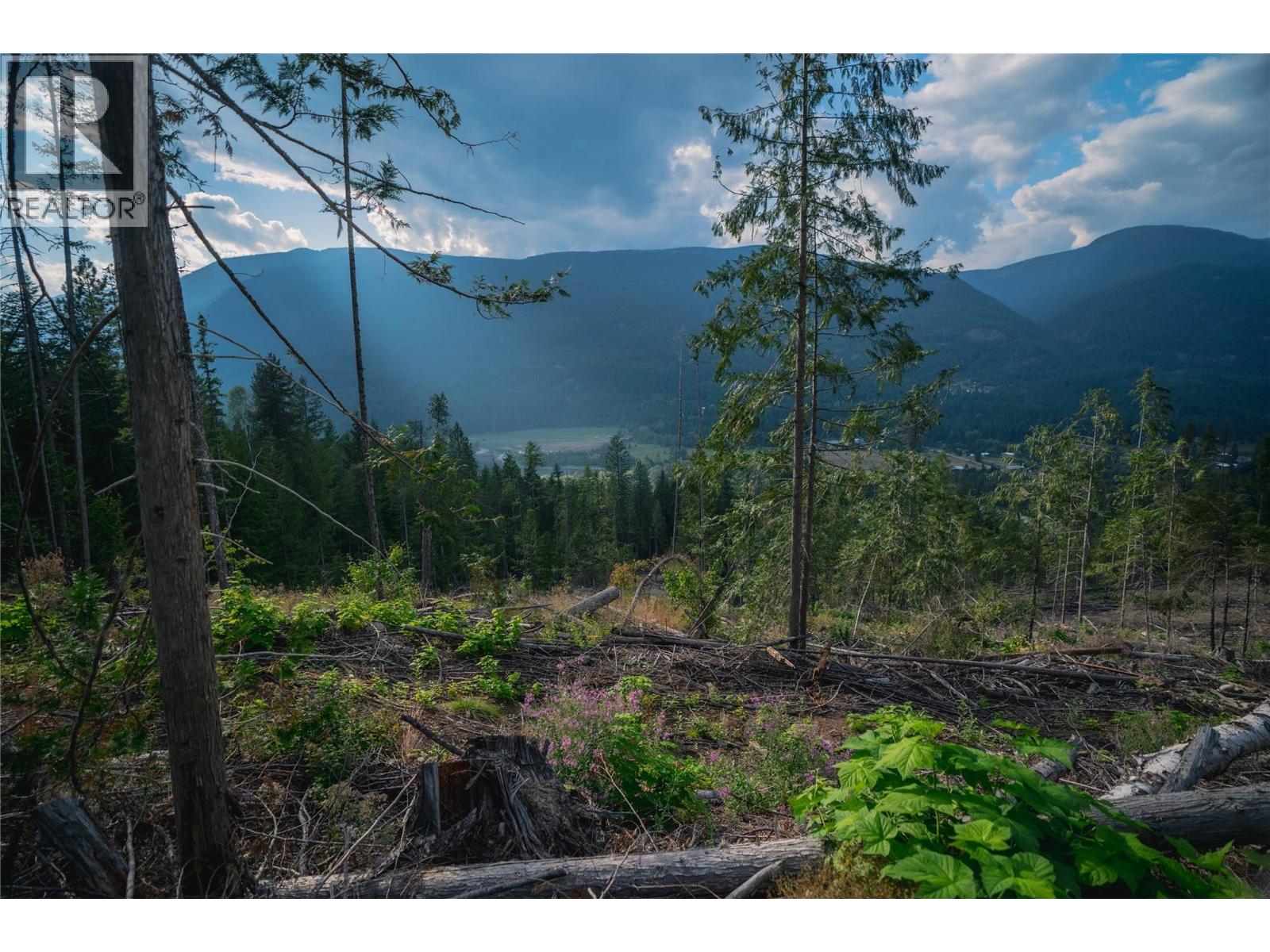 5396 6 Highway, Winlaw, British Columbia  V0G 2J0 - Photo 45 - 10389307