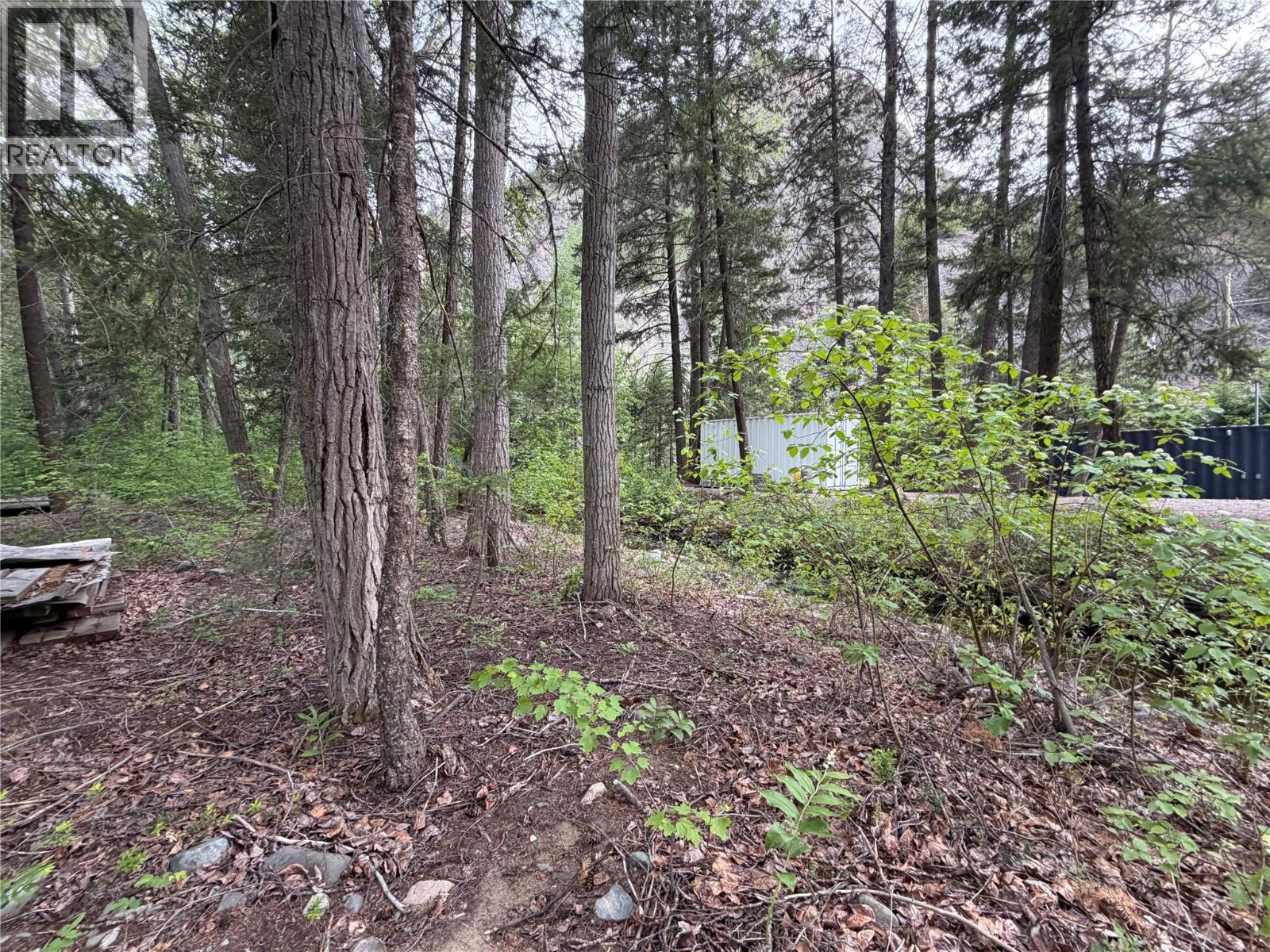 1748 Summers Creek Road, Princeton, British Columbia  V0X 1W0 - Photo 18 - 10388619