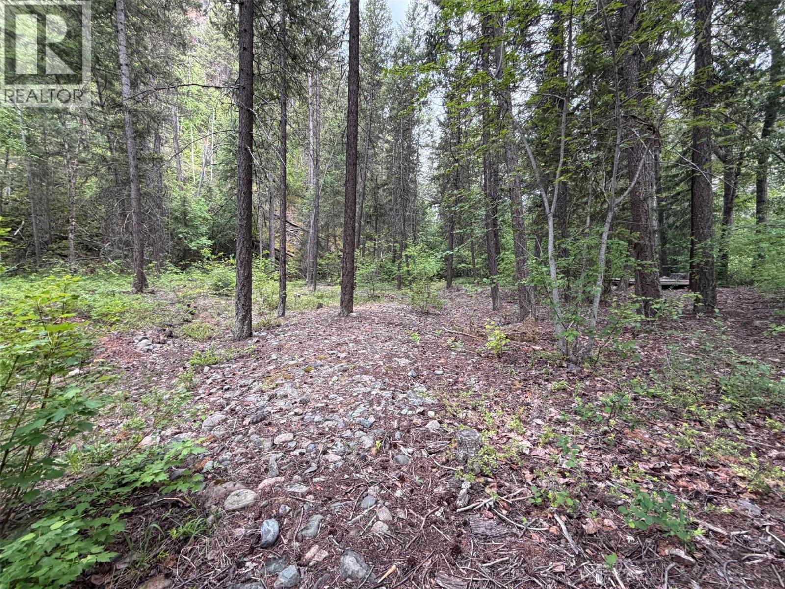 1748 Summers Creek Road, Princeton, British Columbia  V0X 1W0 - Photo 21 - 10388619