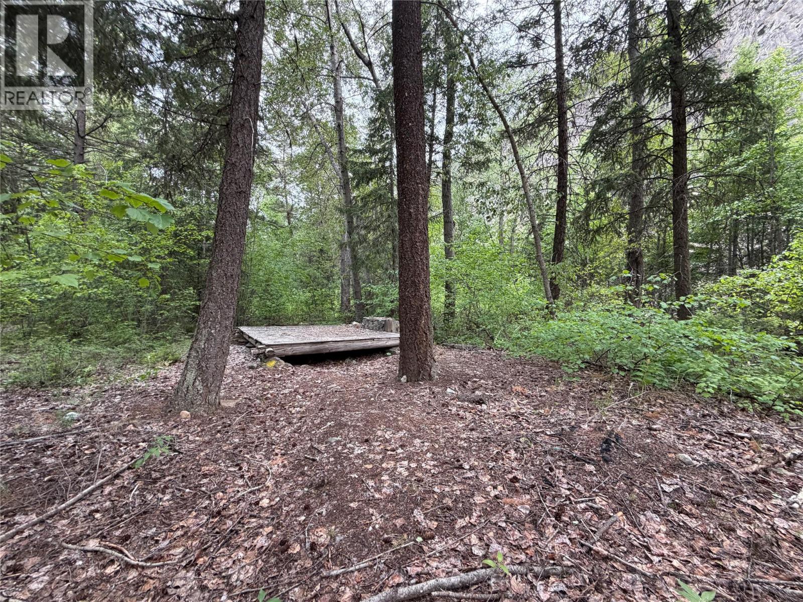 1748 Summers Creek Road, Princeton, British Columbia  V0X 1W0 - Photo 23 - 10388619