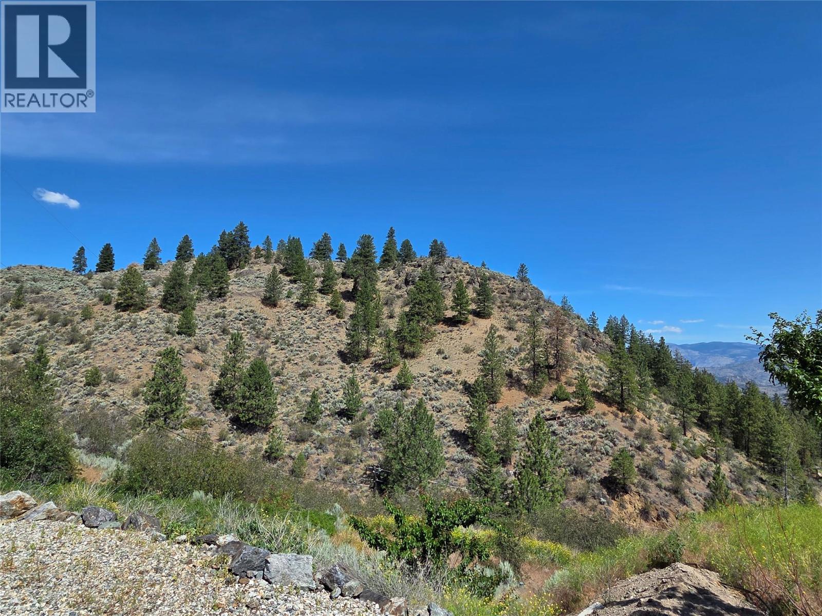 15341 Old Richter Pass Road, Osoyoos, British Columbia  V0H 1V5 - Photo 32 - 10389480