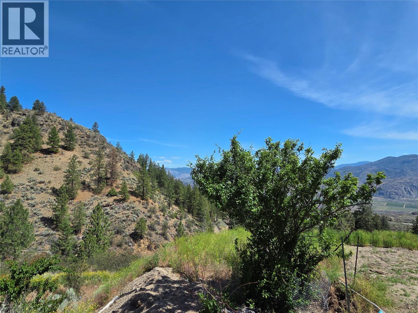 15341 Old Richter Pass Road, Osoyoos, British Columbia  V0H 1V5 - Photo 33 - 10389480
