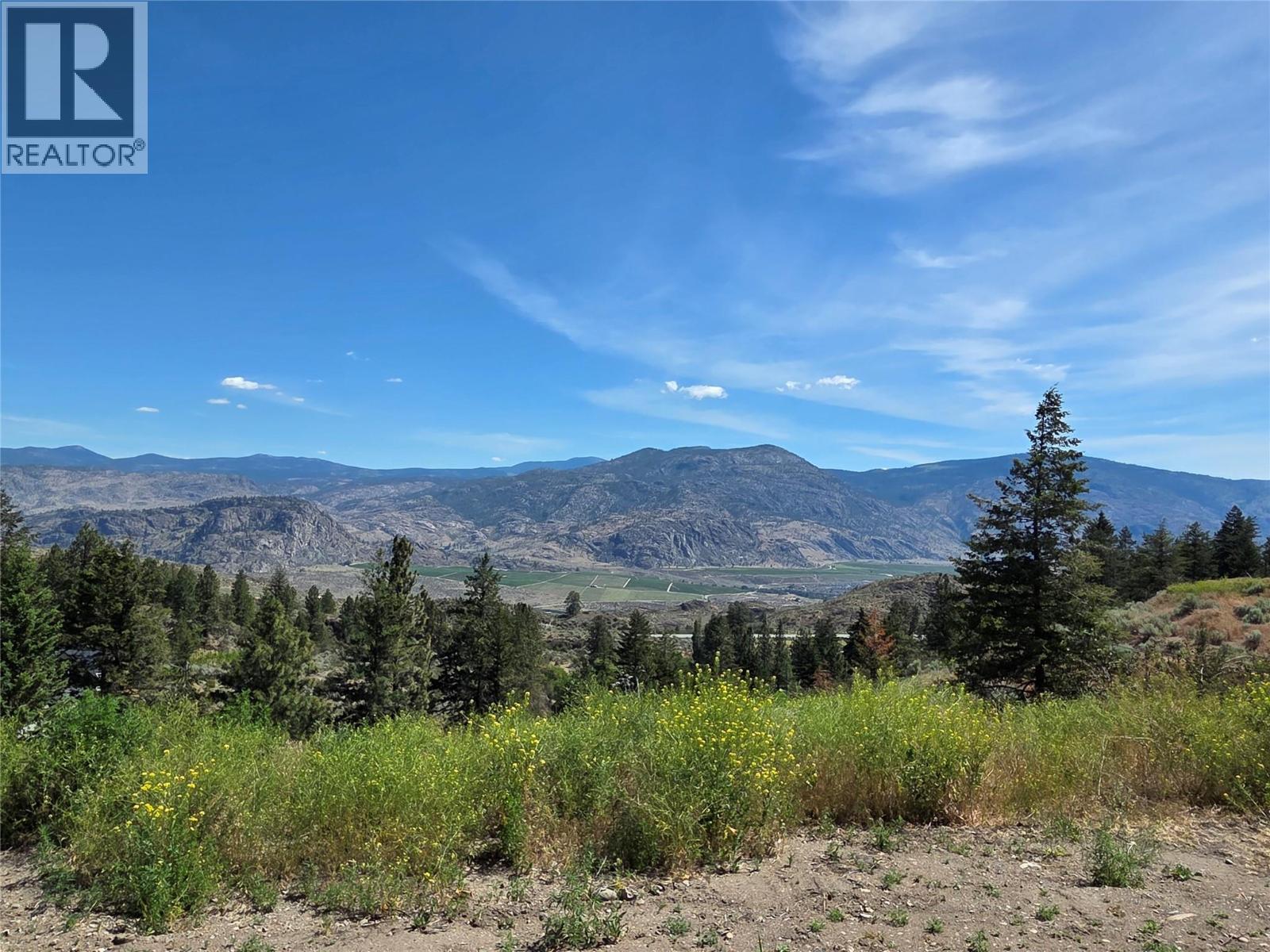 15341 Old Richter Pass Road, Osoyoos, British Columbia  V0H 1V5 - Photo 43 - 10389480